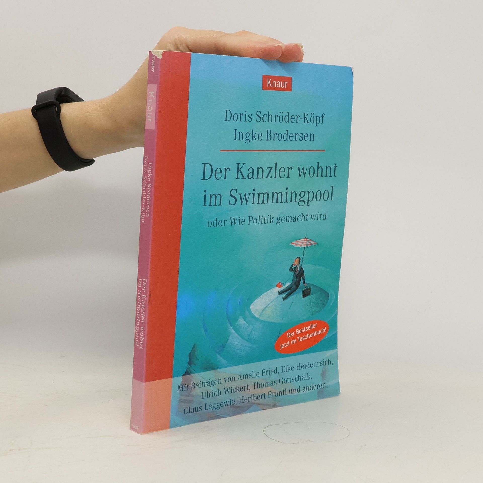 Doris Schro der Der Kanzler wohnt im Swimmingpool oder wie Politik gemacht wird