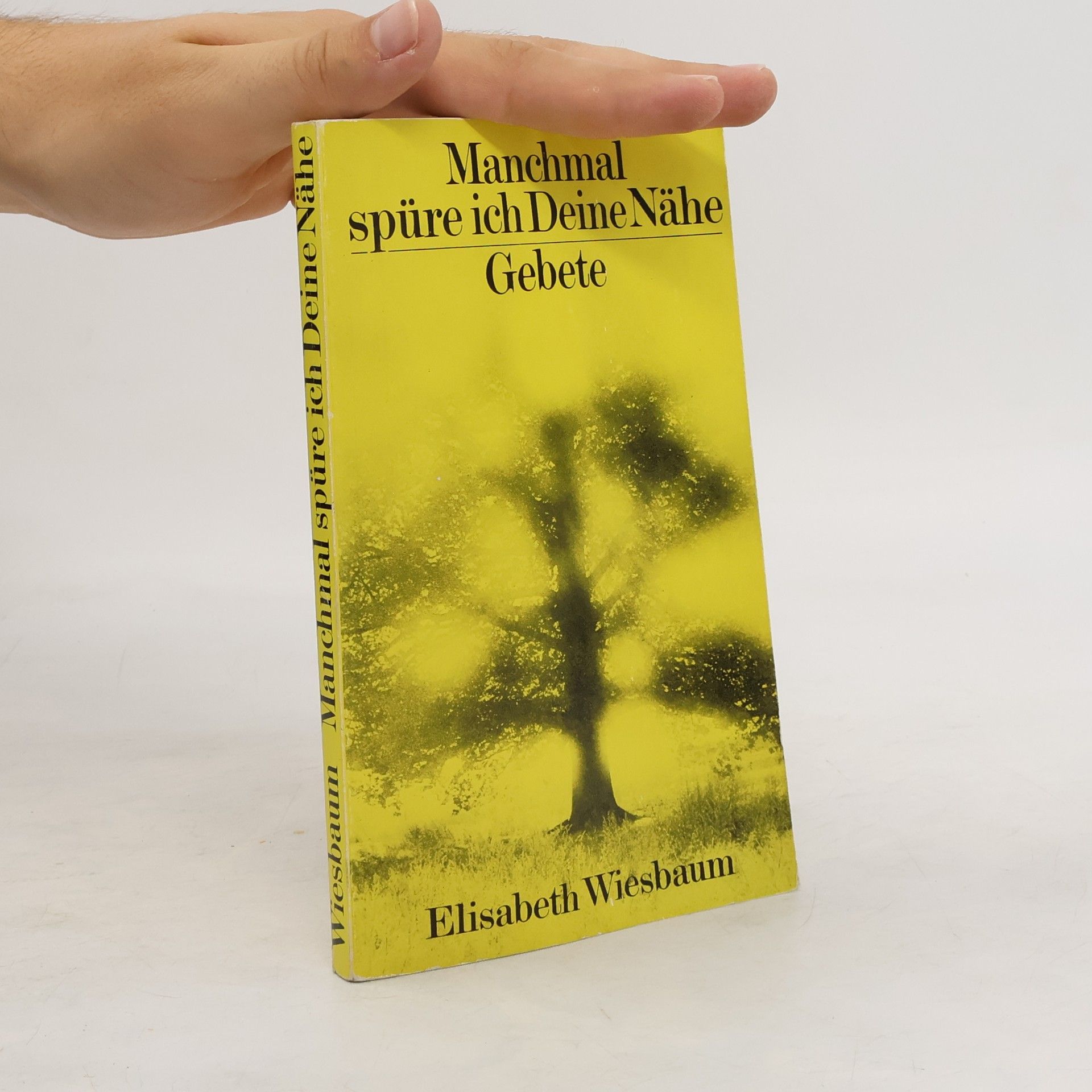 Elisabeth Wiesbaum Manchmal spüre ich Deine Nähe