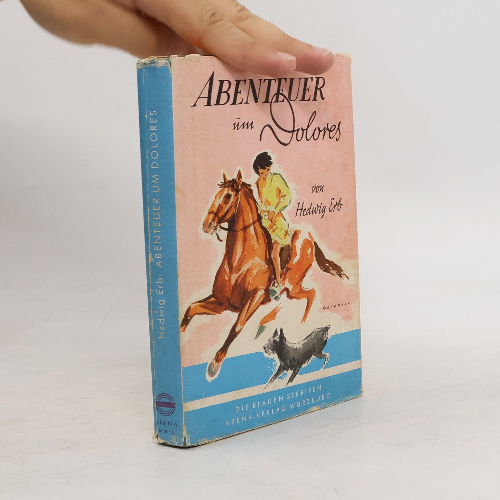 Hedwig Erb Abenteuer um Dolores