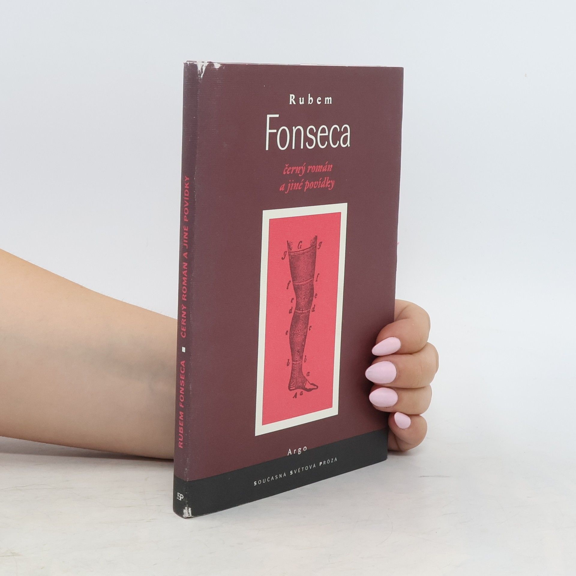 Rubem Fonseca Černý román a jiné povídky
