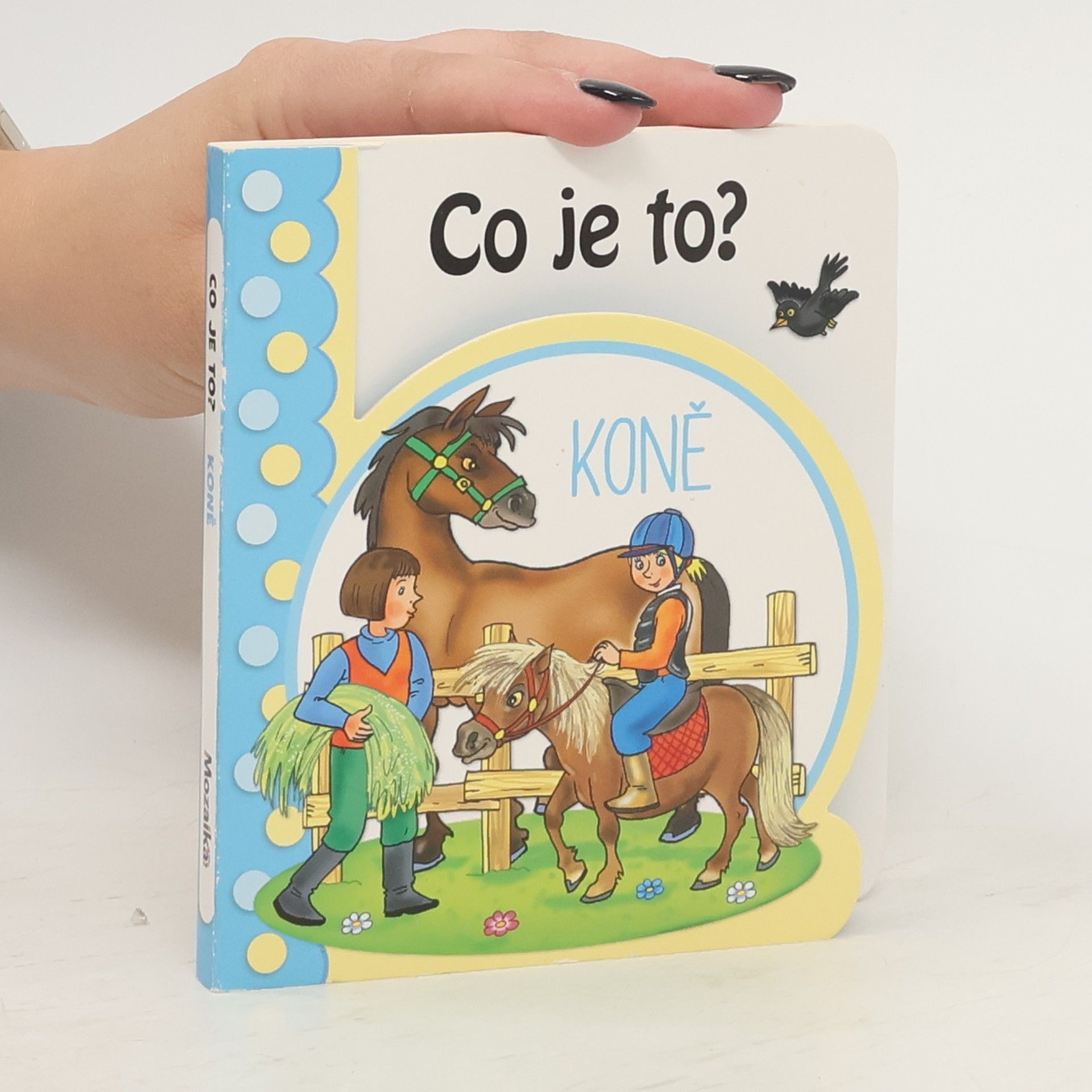 Kolektiv autorů Co je to? Koně