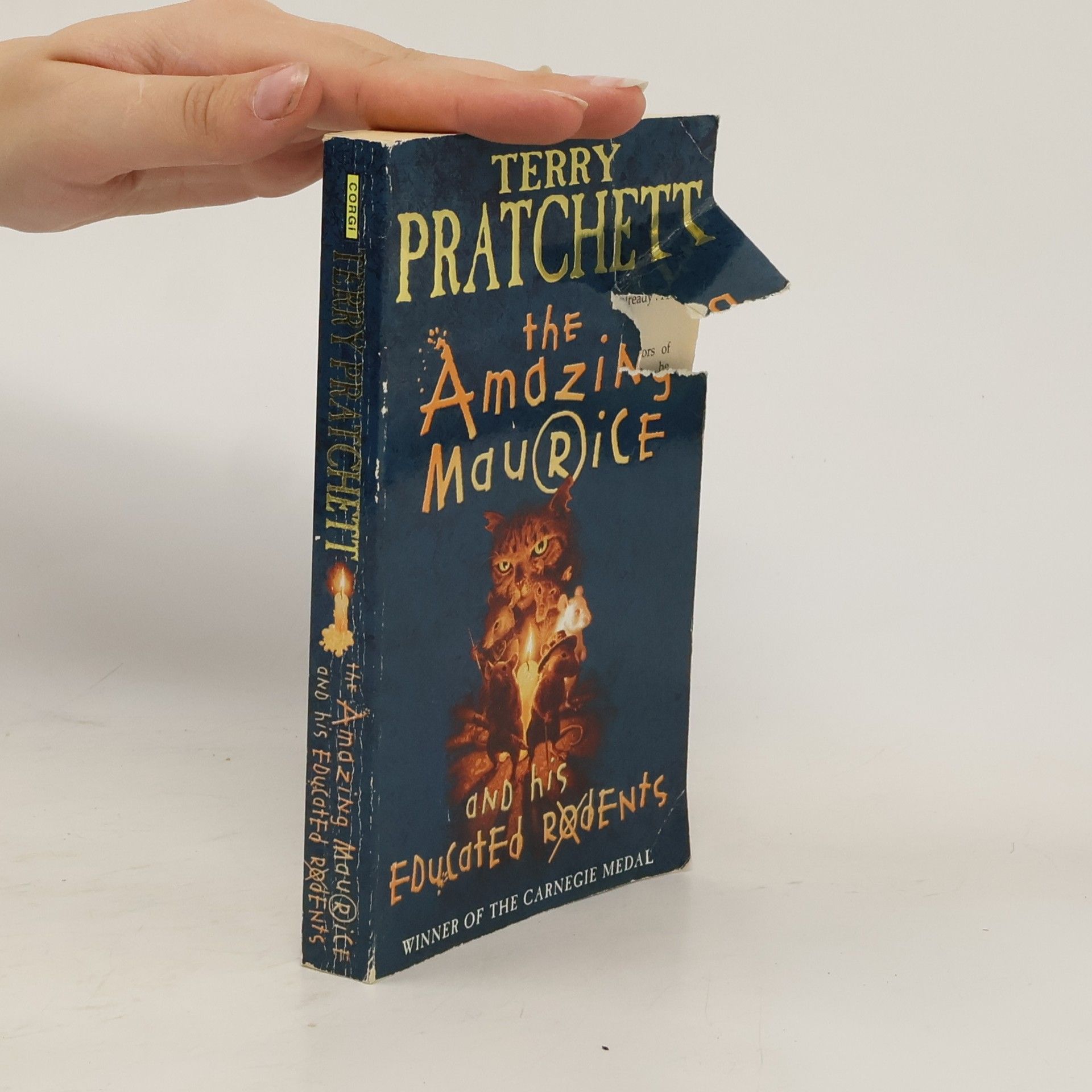 Terry Pratchett The Amazing Maurice and His Educated Rodents