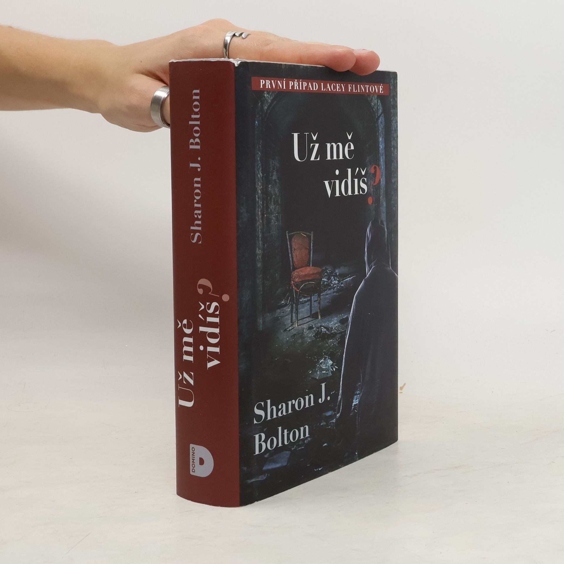 S. J. Bolton Už mě vidíš?