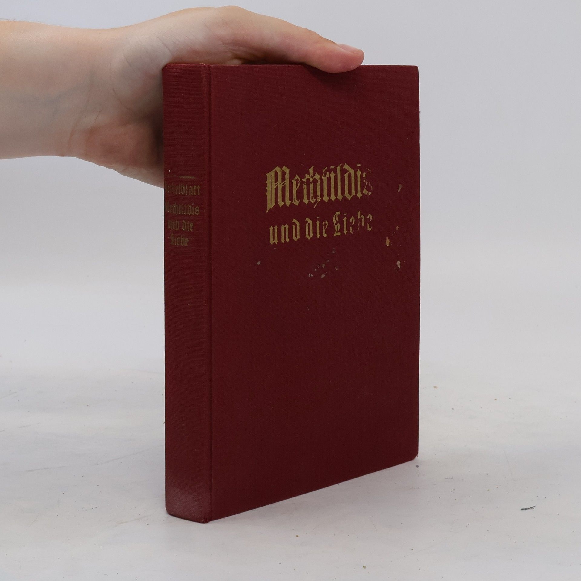 Dora Hasselblatt Mechtildis und die Liebe