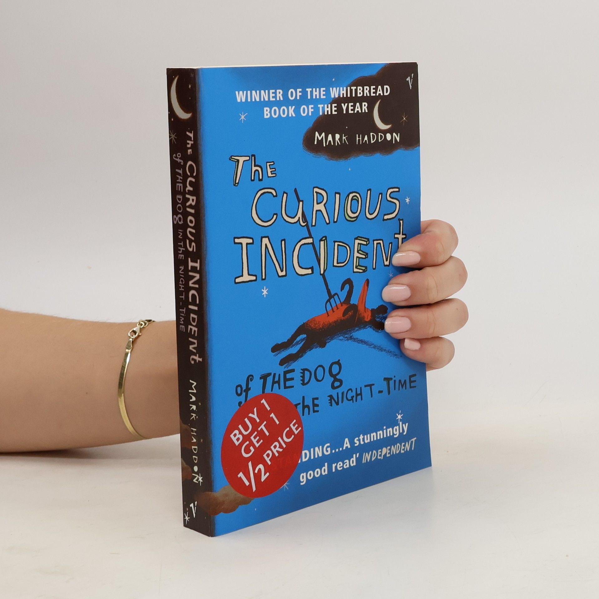 Mark Haddon The Curious Incident of the Dog in the Night-Time