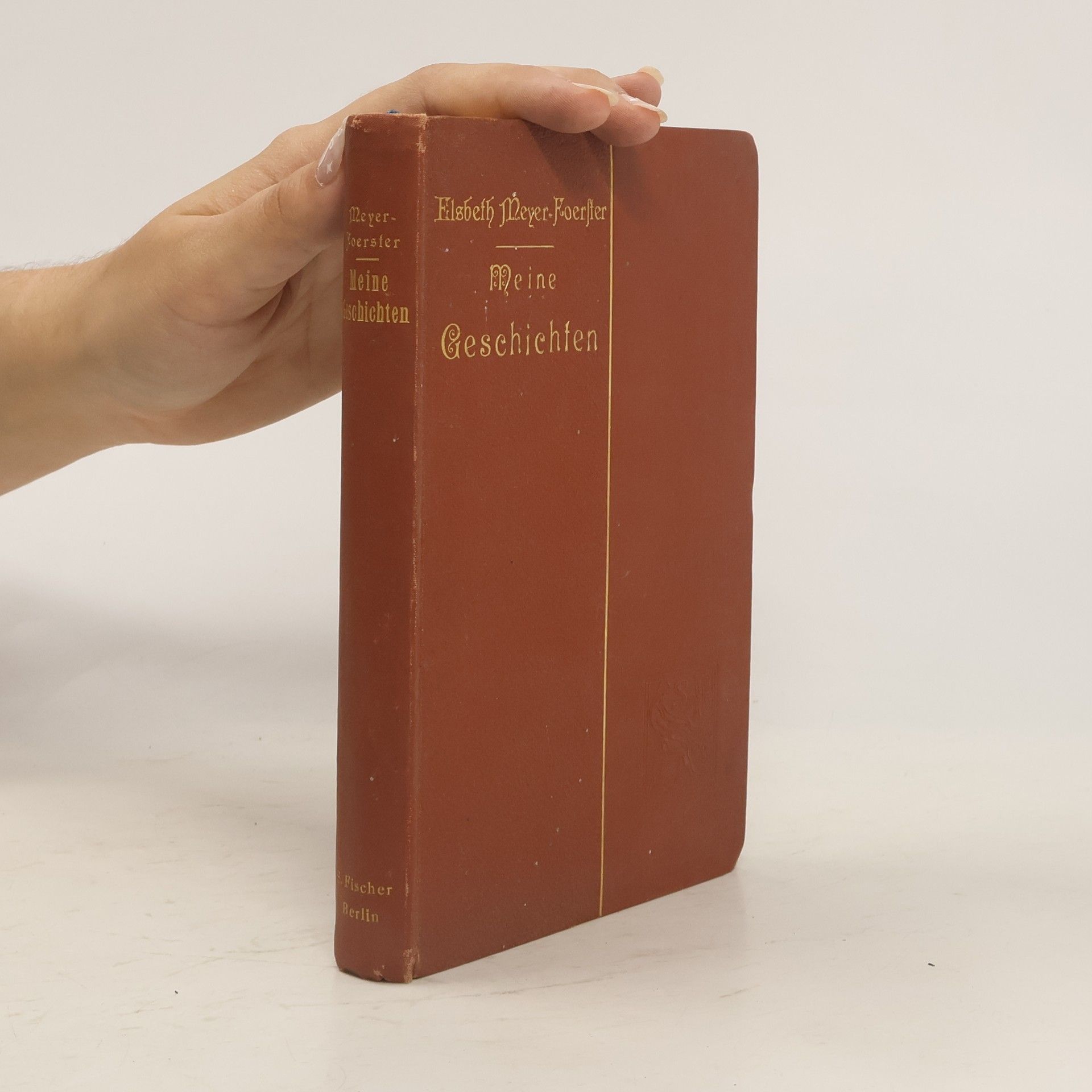 Elsbeth Meyer Foerster Meine Geschichten