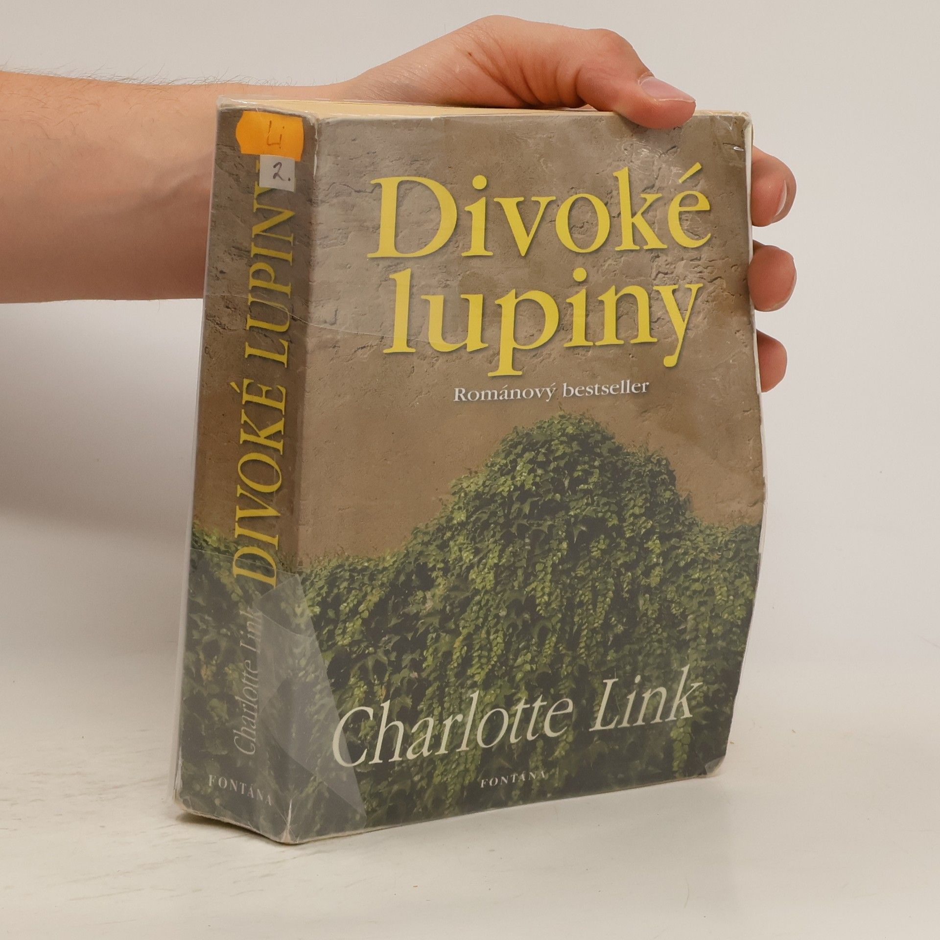 Charlotte Link Divoké lupiny