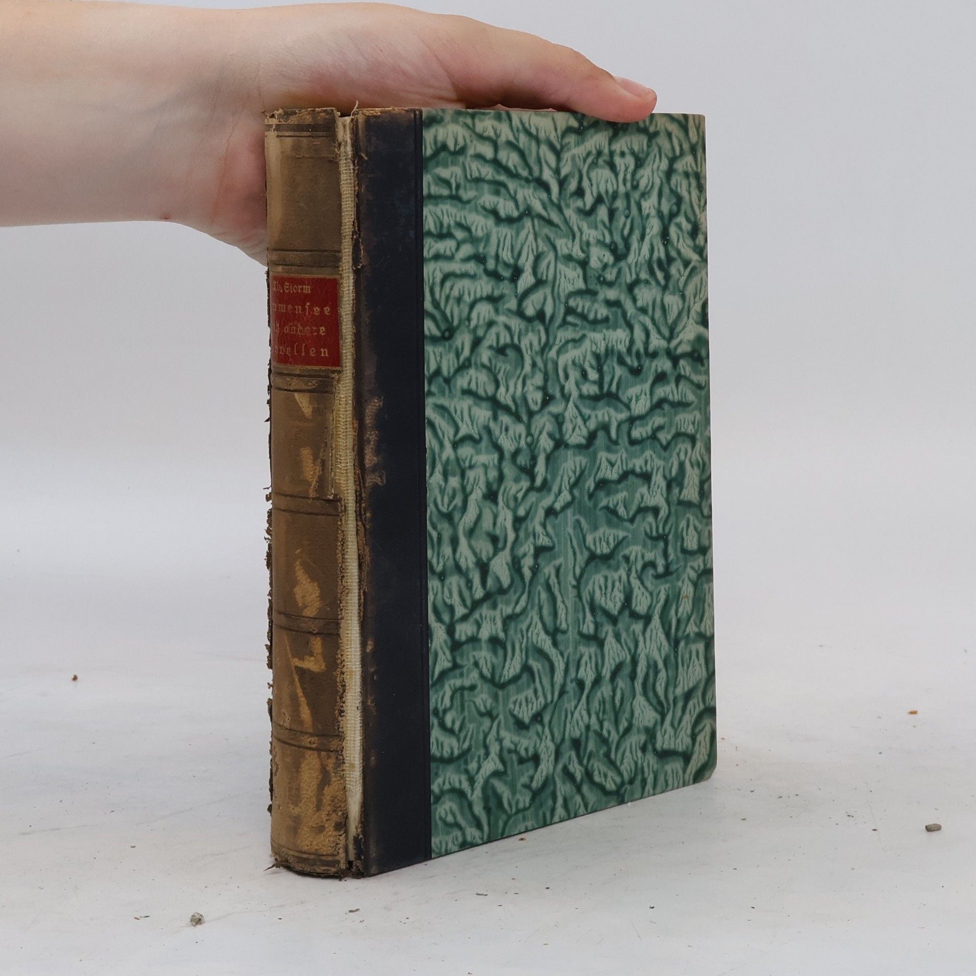 Theodor Storm Immensee und andere Novellen