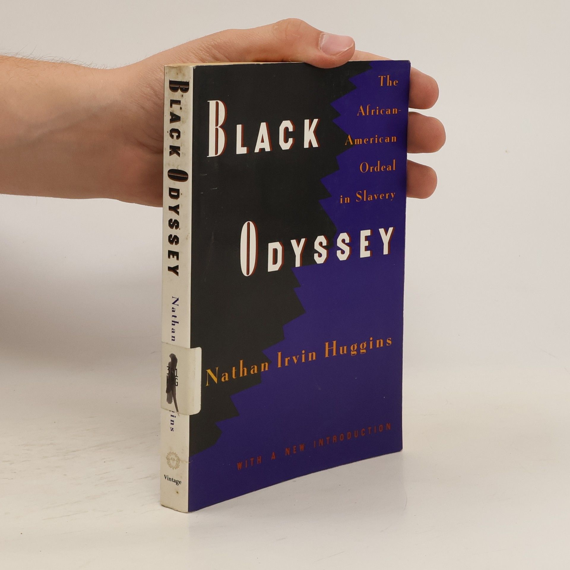 Nathan Irvin Huggins Black Odyssey
