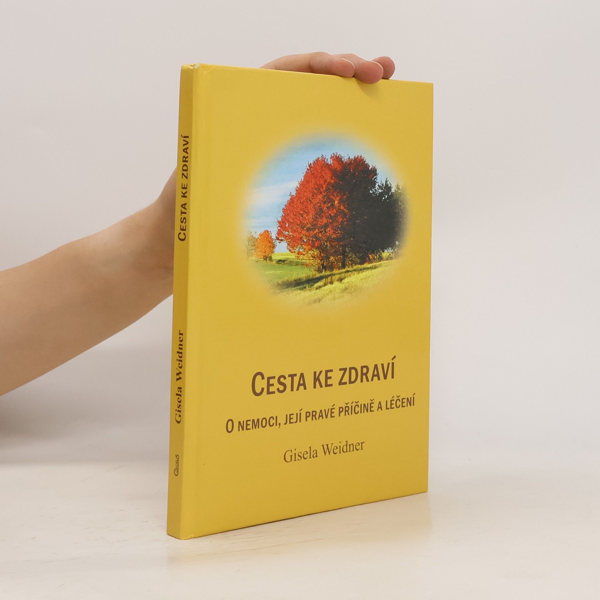 Gisela Weidner Cesta ke zdraví
