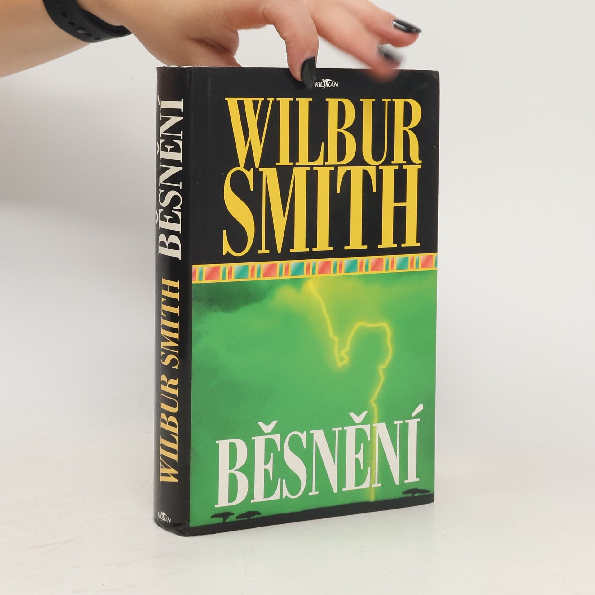 Wilbur Smith Běsnění