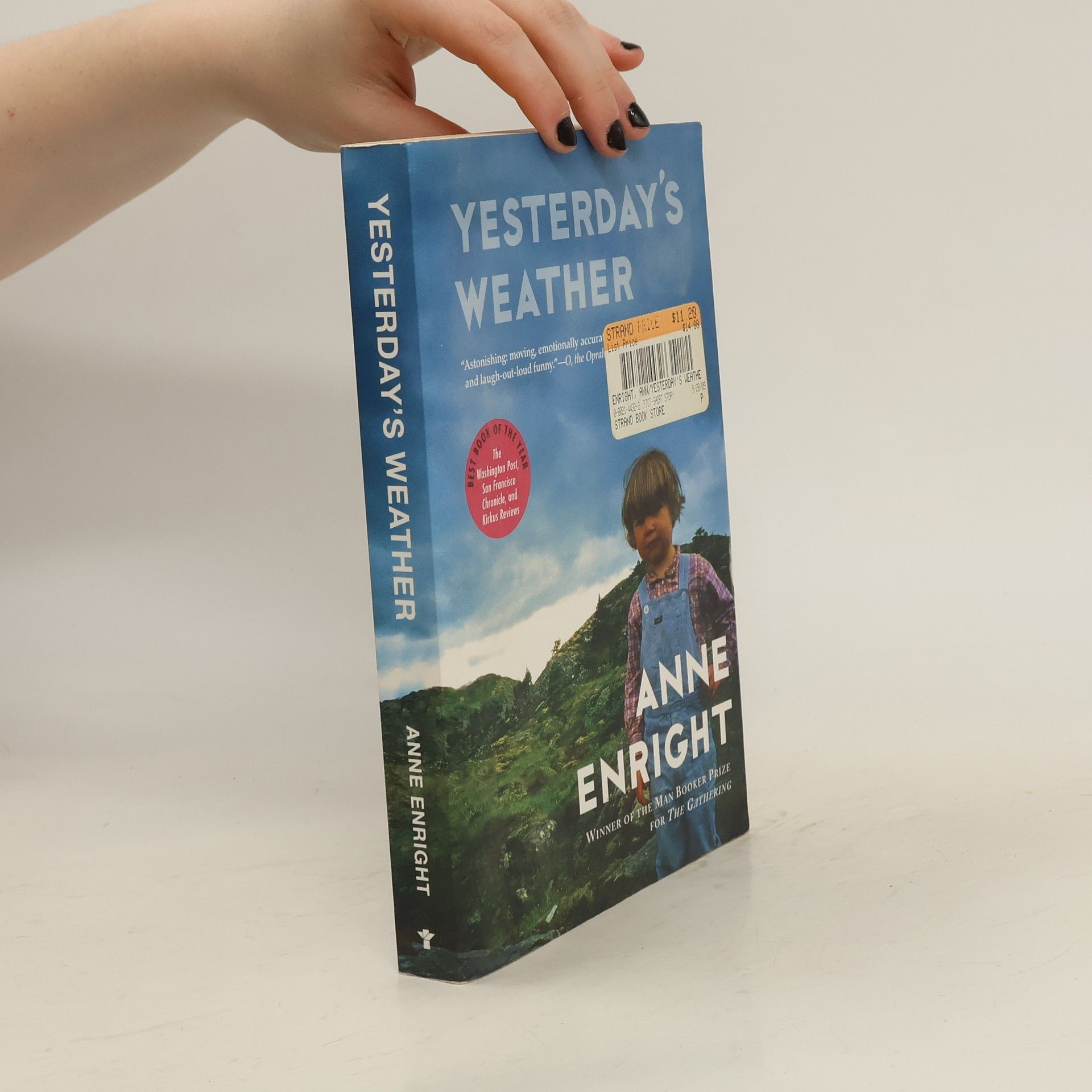Anne Enright Yesterday's Weather