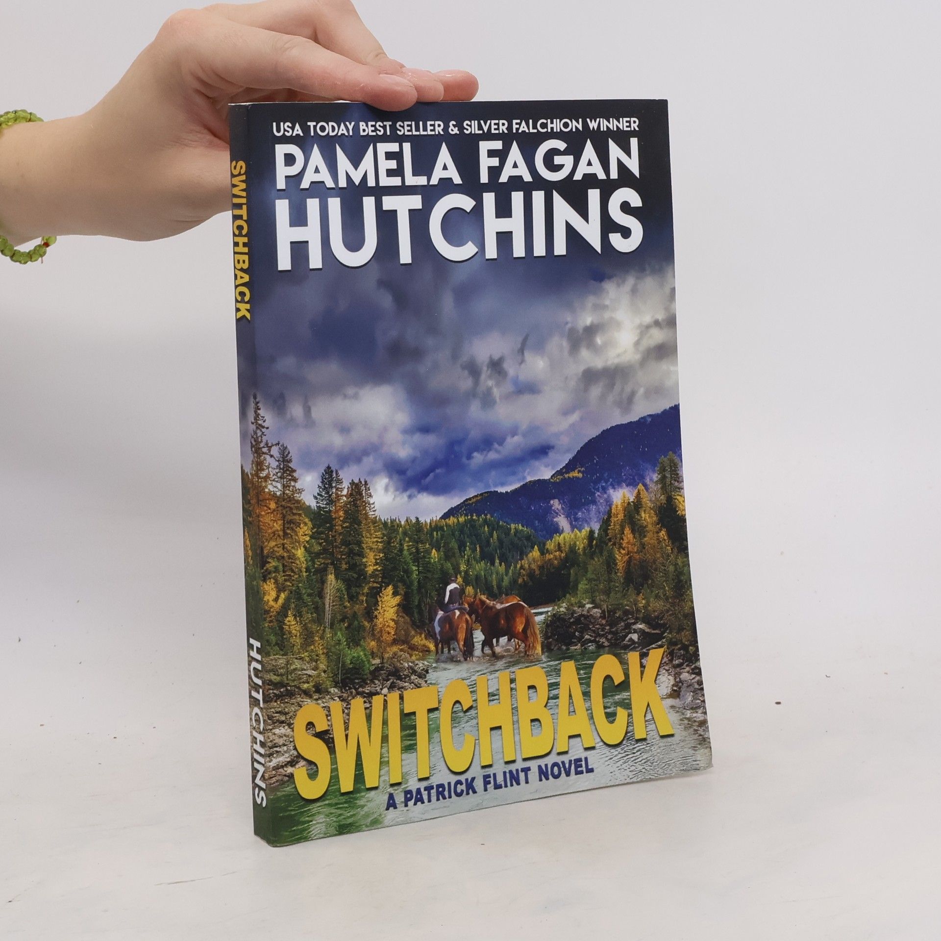 Pamela Fagan  Switchback