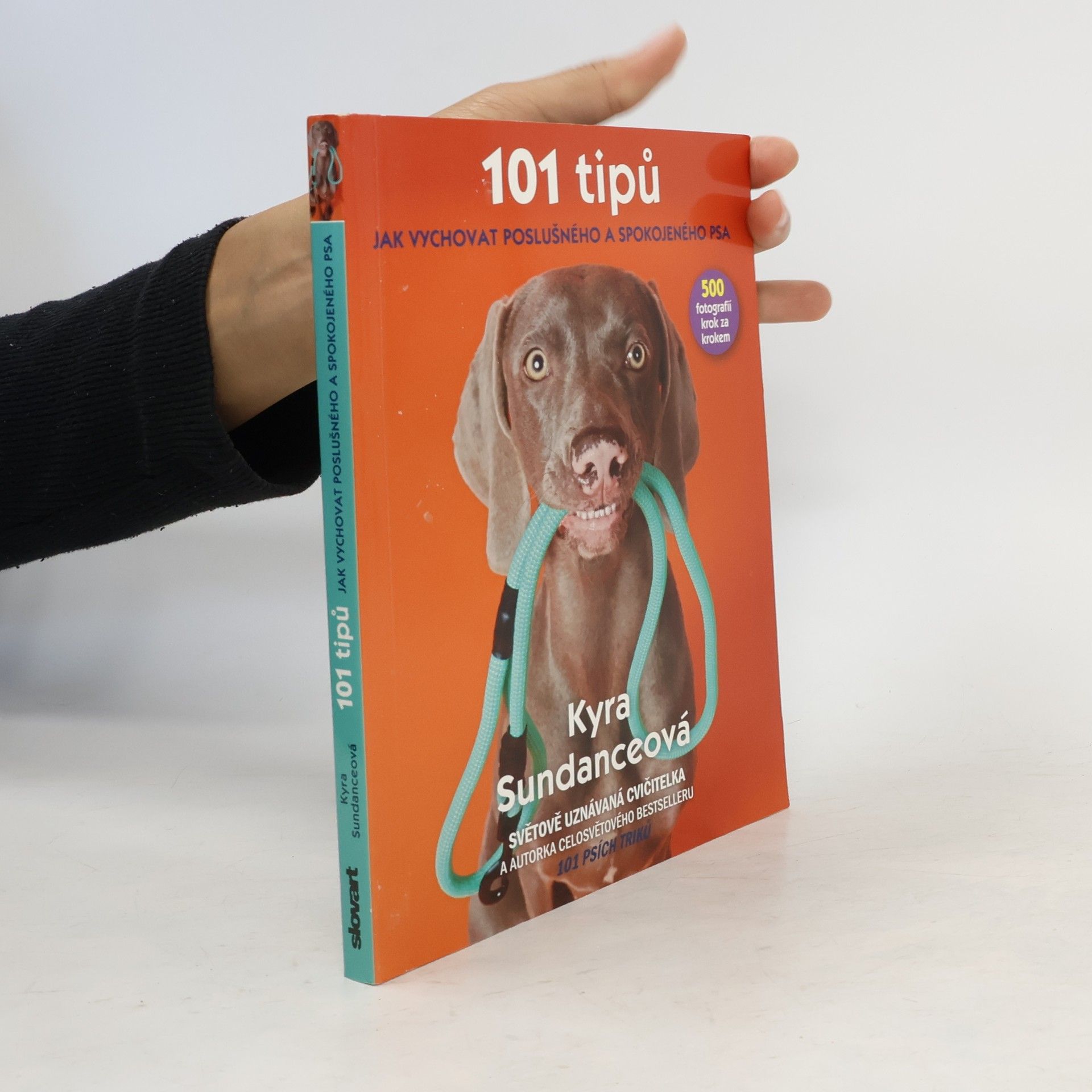Kyra Sundance 101 tipů jak vychovat poslušného a spokojeného psa