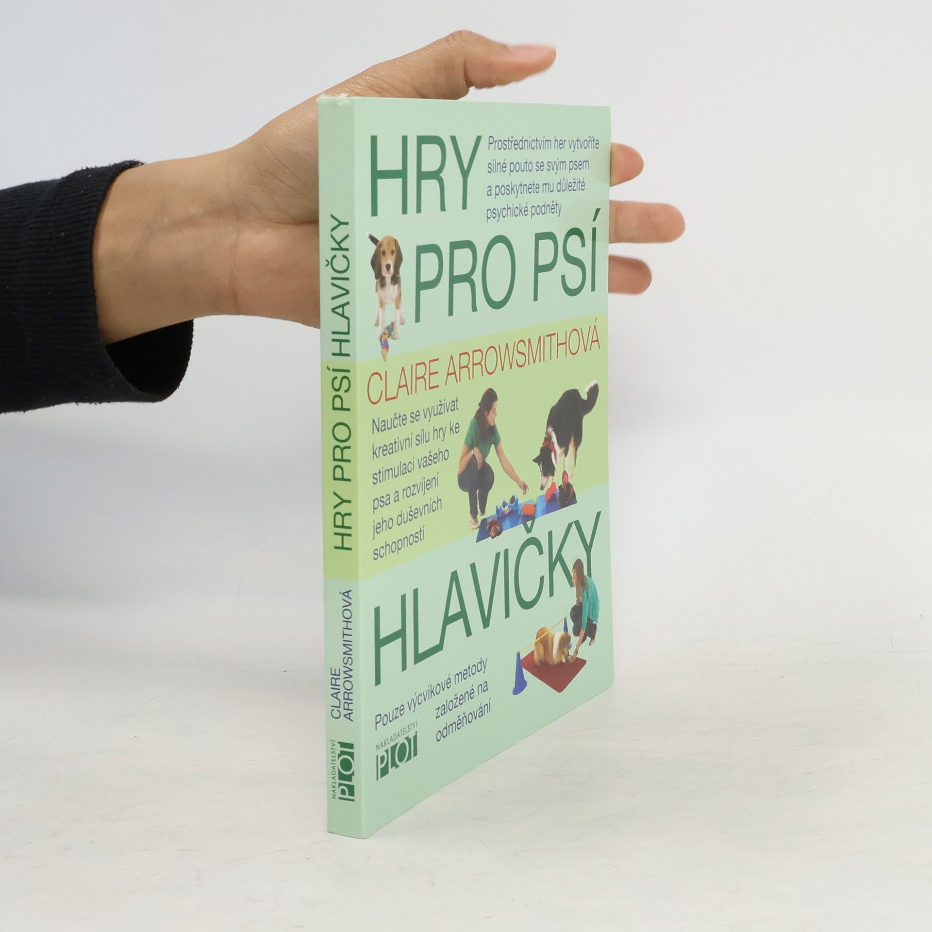 Claire Arrowsmith Hry pro psí hlavičky