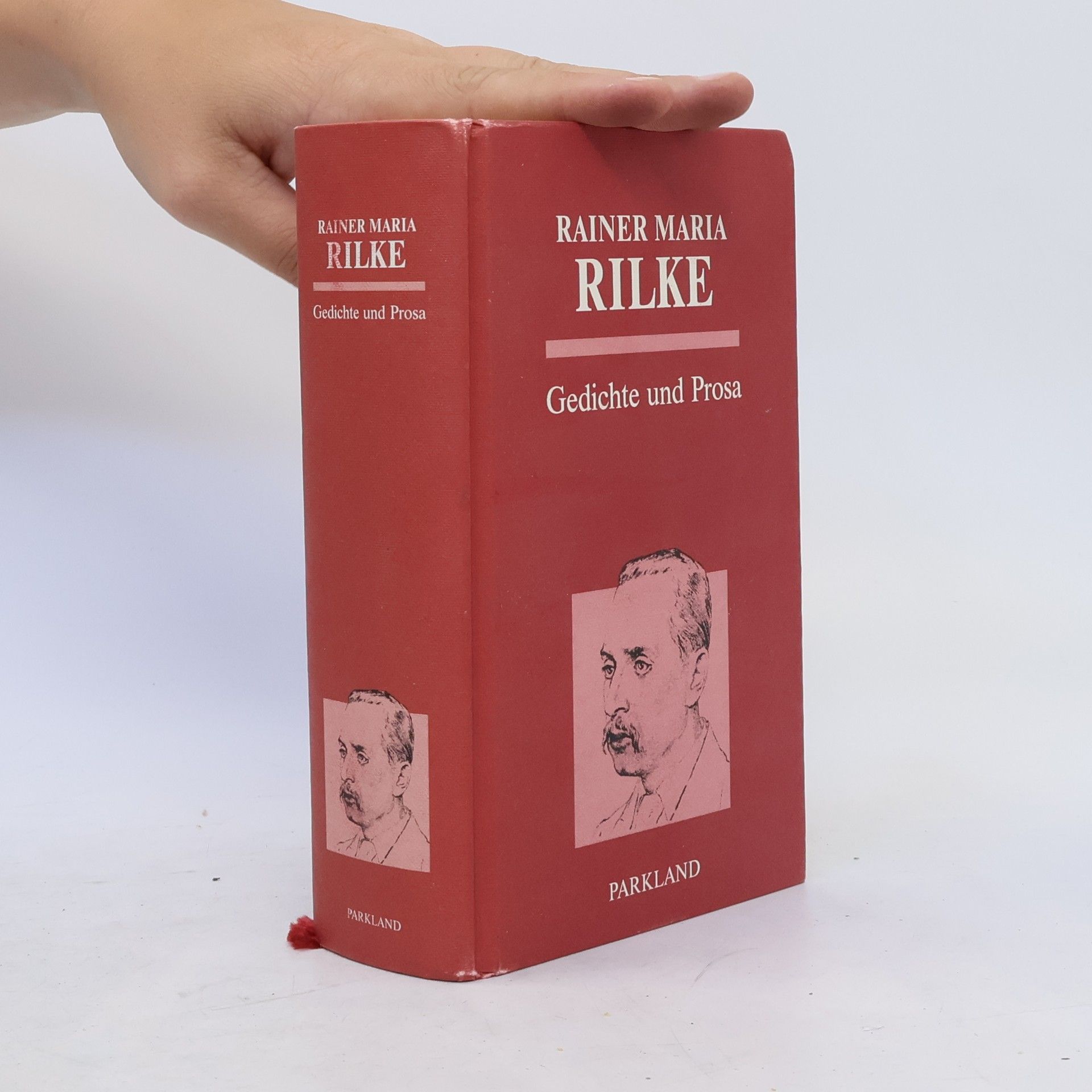 Rainer Maria Rilke Gedichte und Prosa