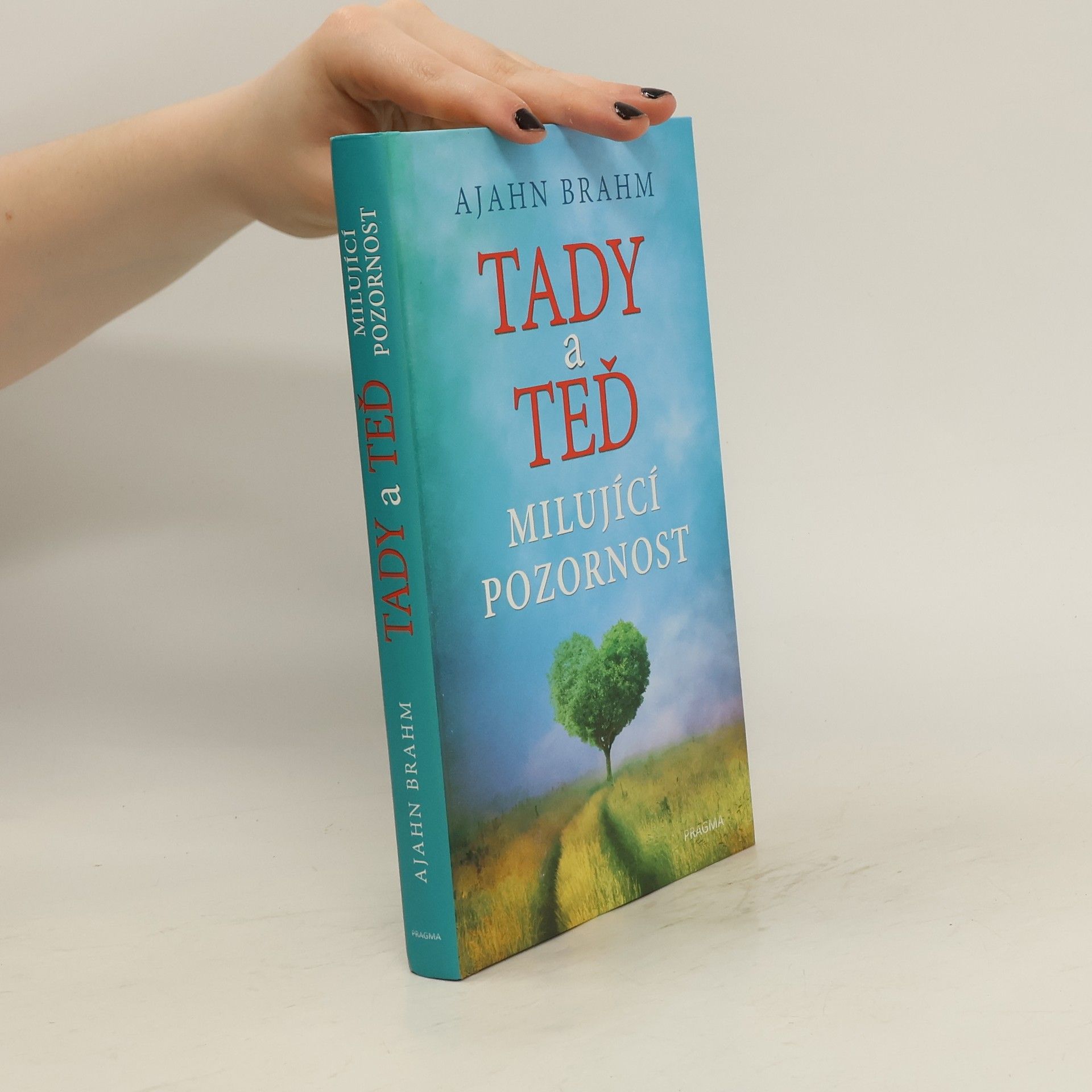 Karla Korteová Tady a teď. Milující pozornost