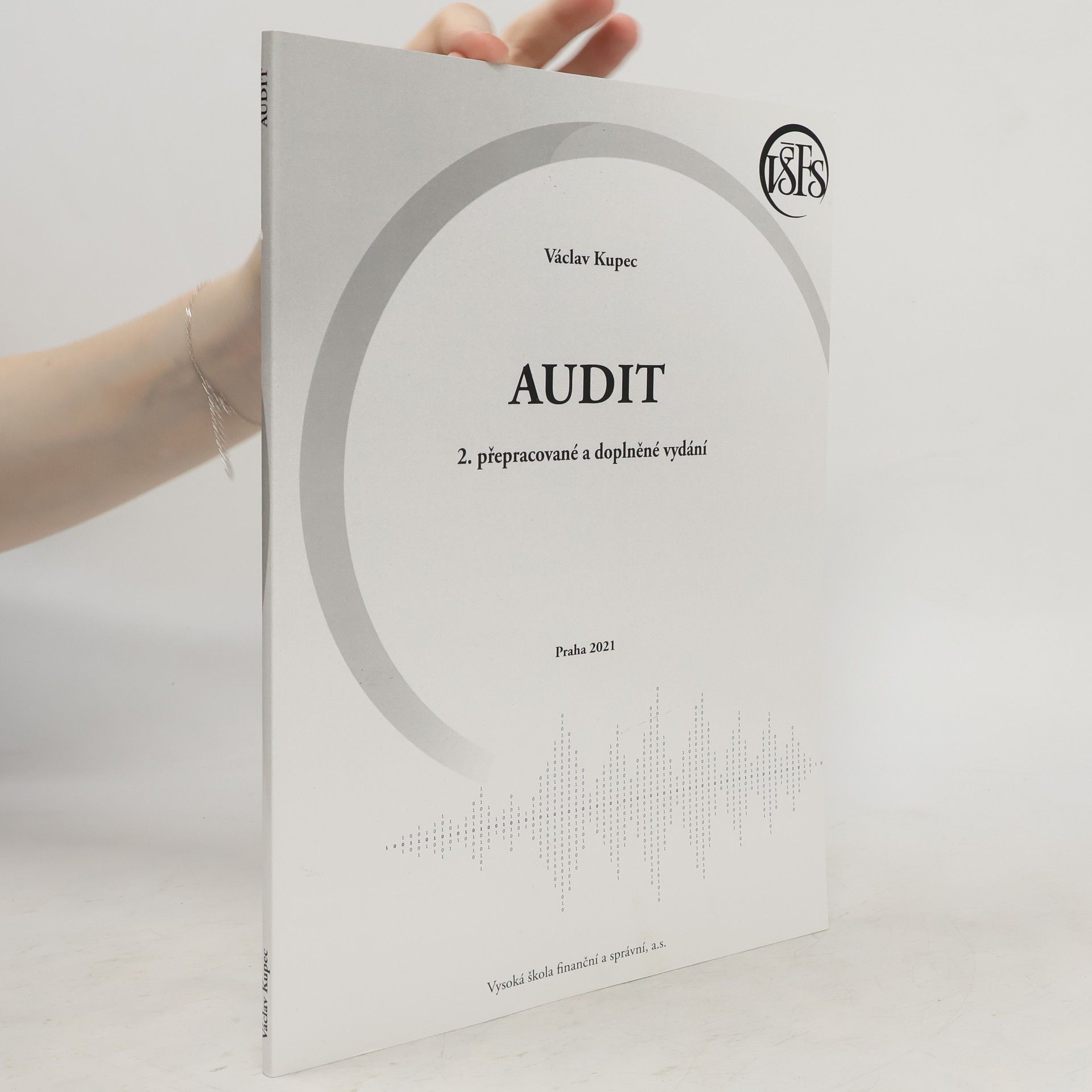 Václav Kupec Audit
