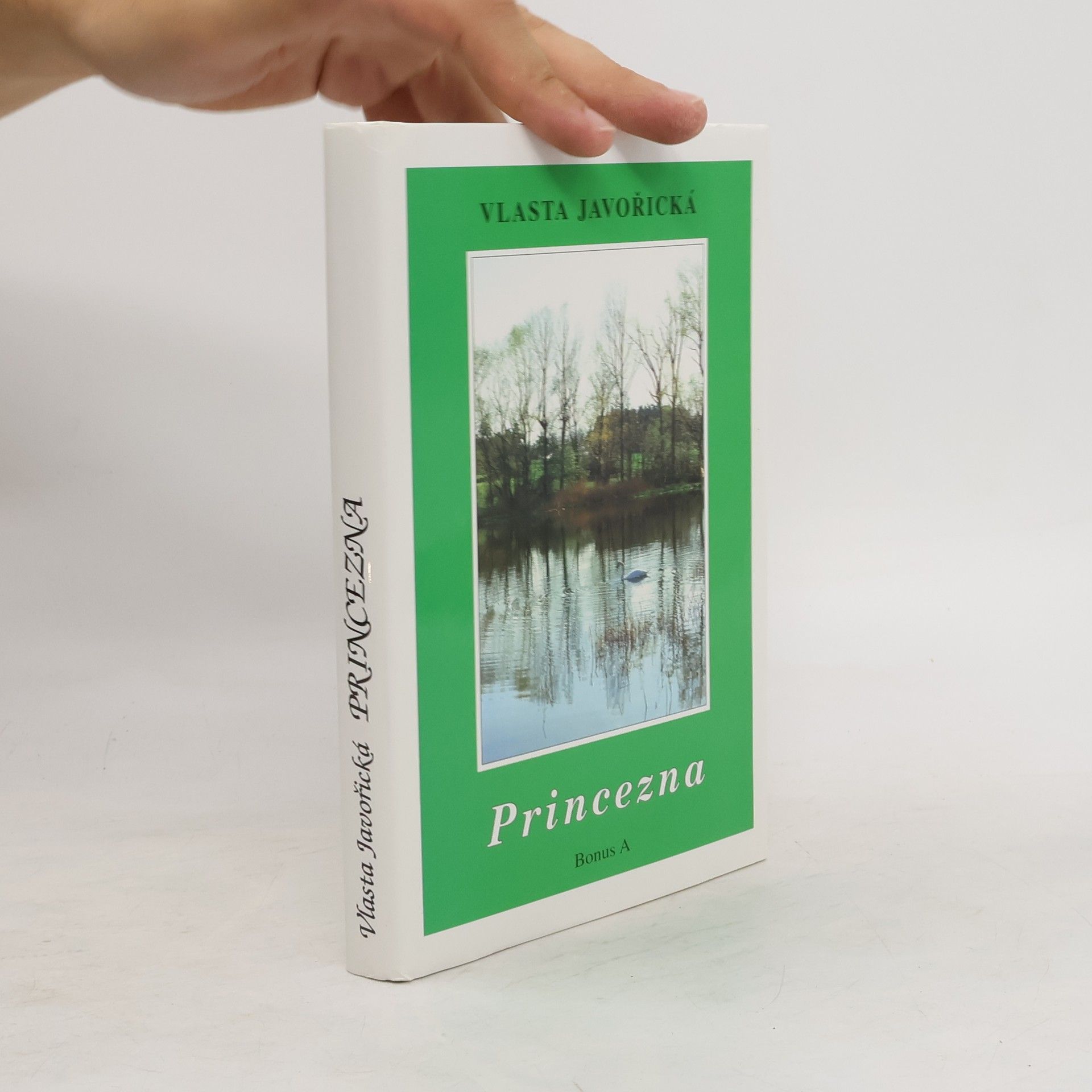 Vlasta Javořická Princezna : román dívky dvacátého století