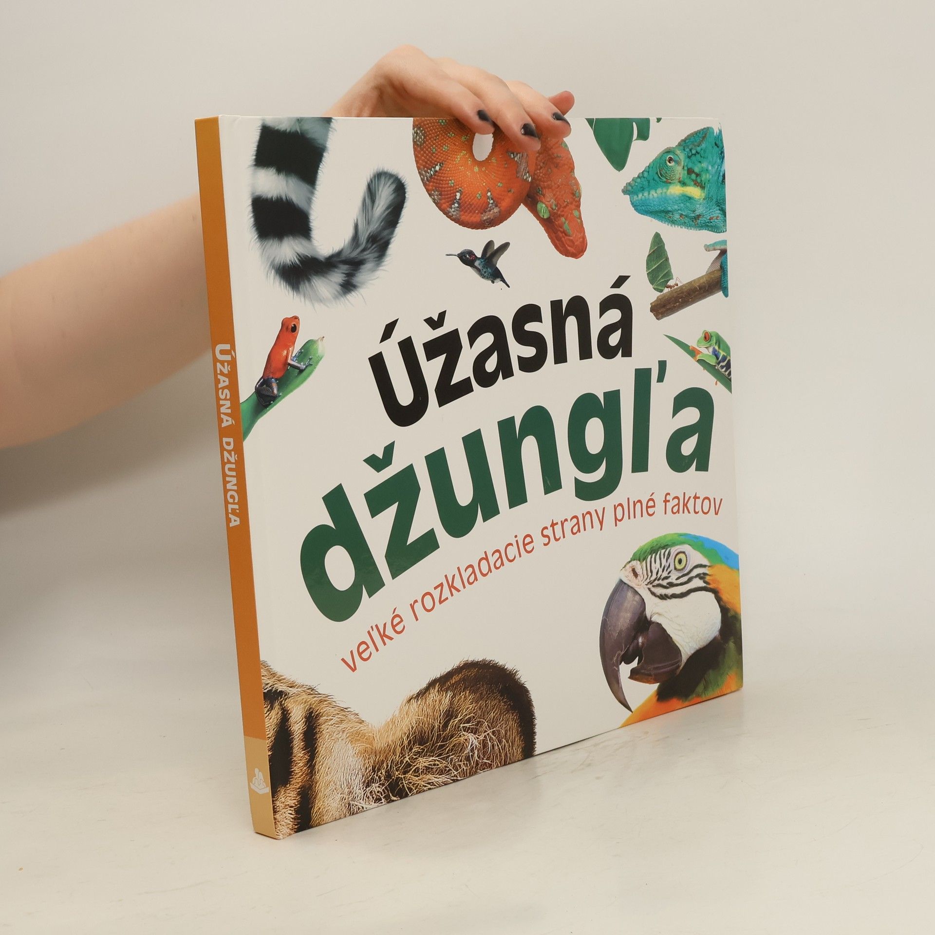 Collectif d'auteurs Úžasná džungľa : veľké rozkladacie strany plné faktov