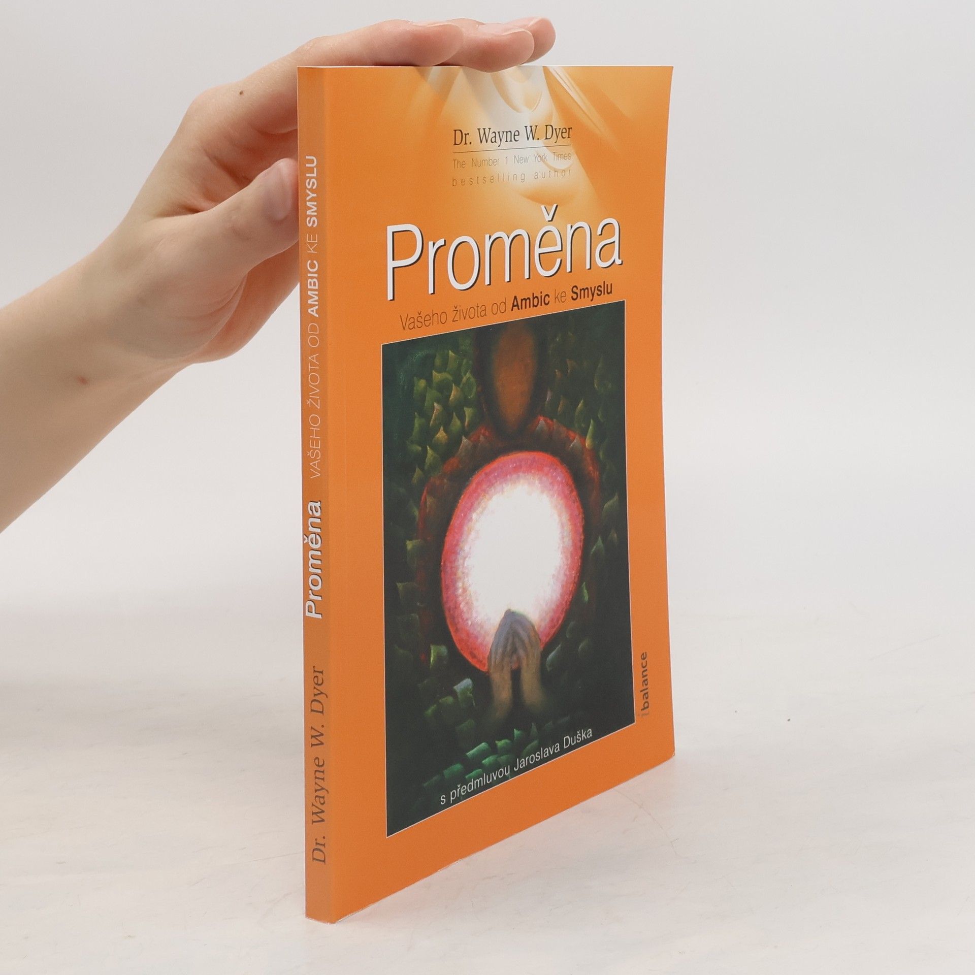 Wayne Dyer Proměna vašeho života od ambic ke smyslu