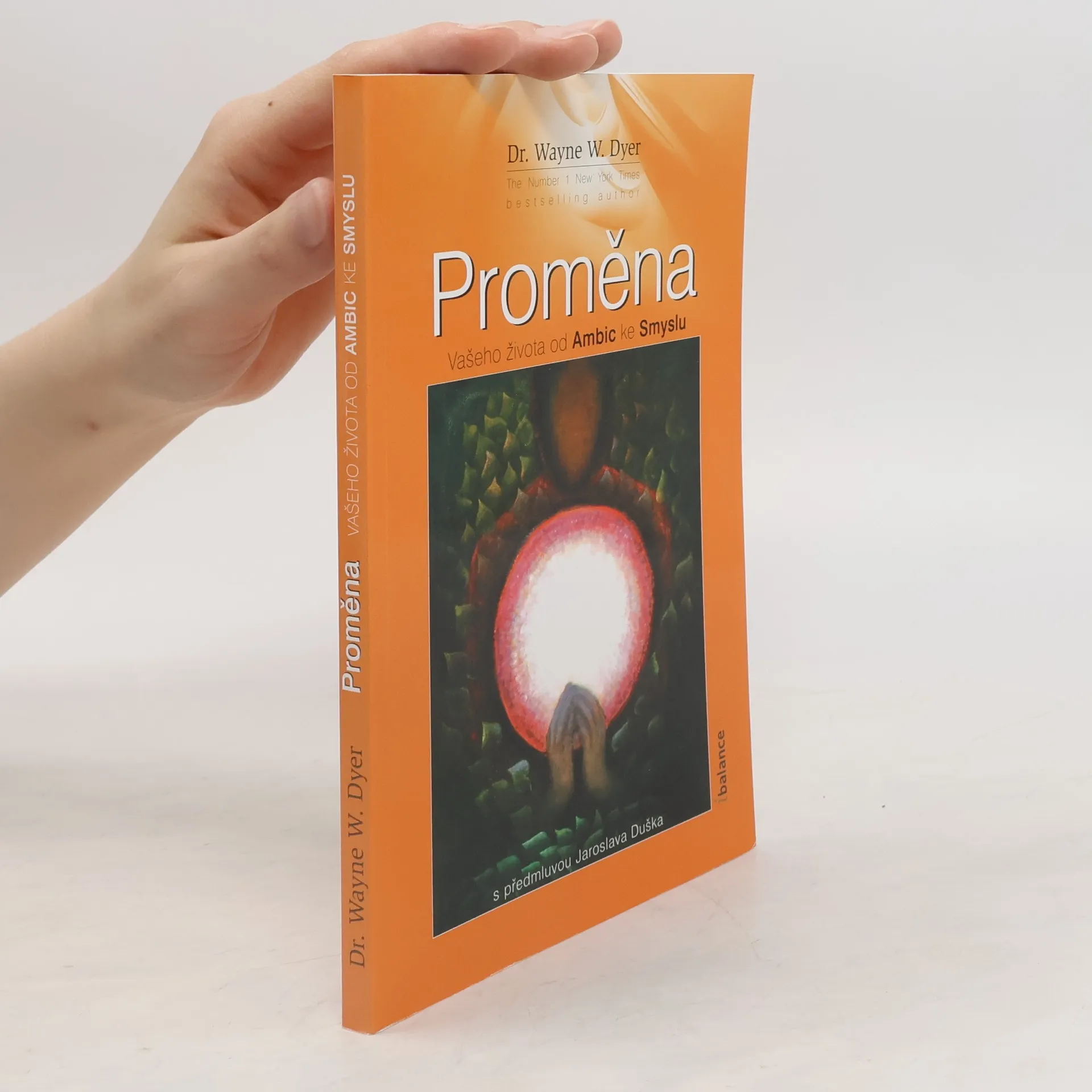 Proměna vašeho života od ambic ke smyslu | Book | Paperback | Wayne Dyer | CS