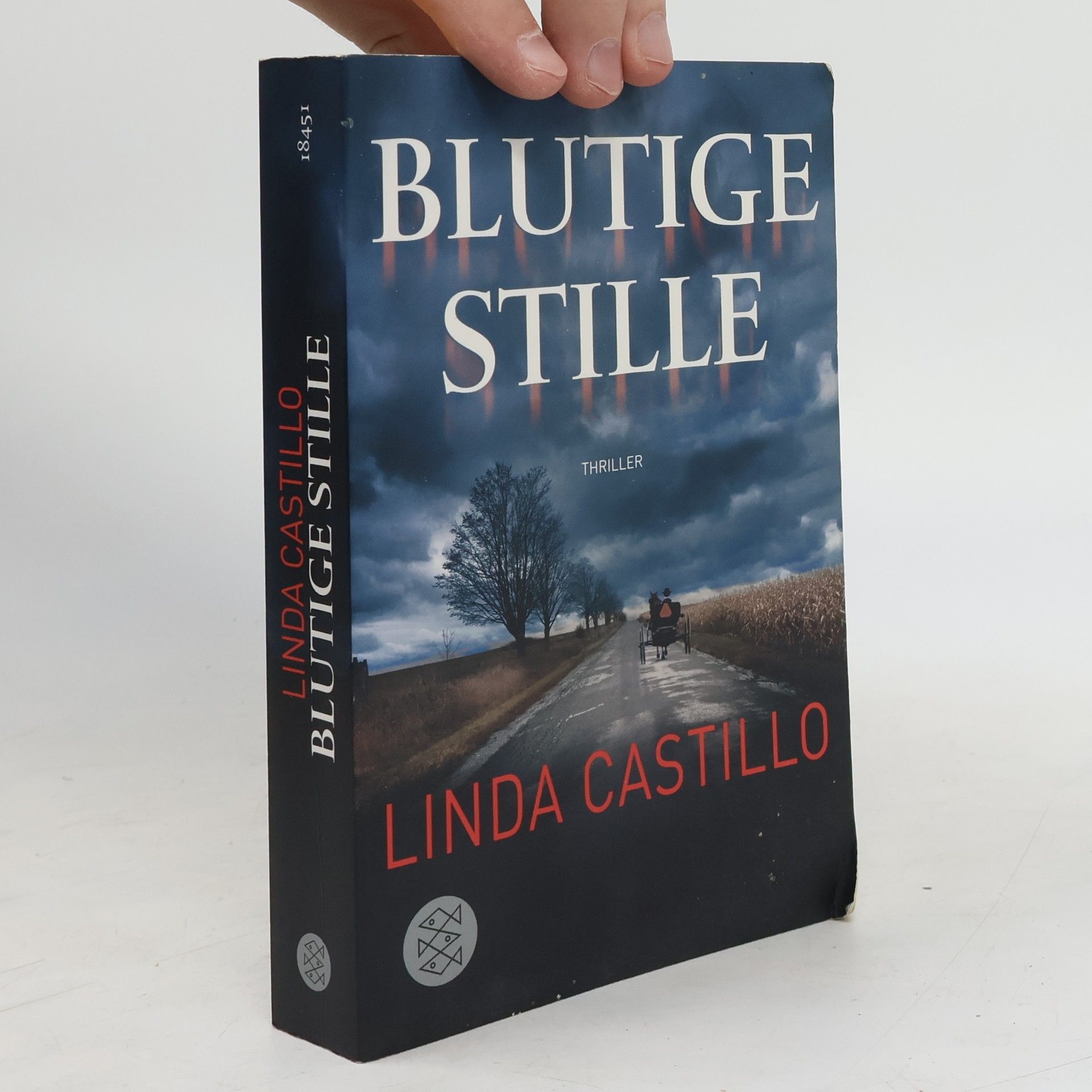 Linda Castillo Blutige Stille