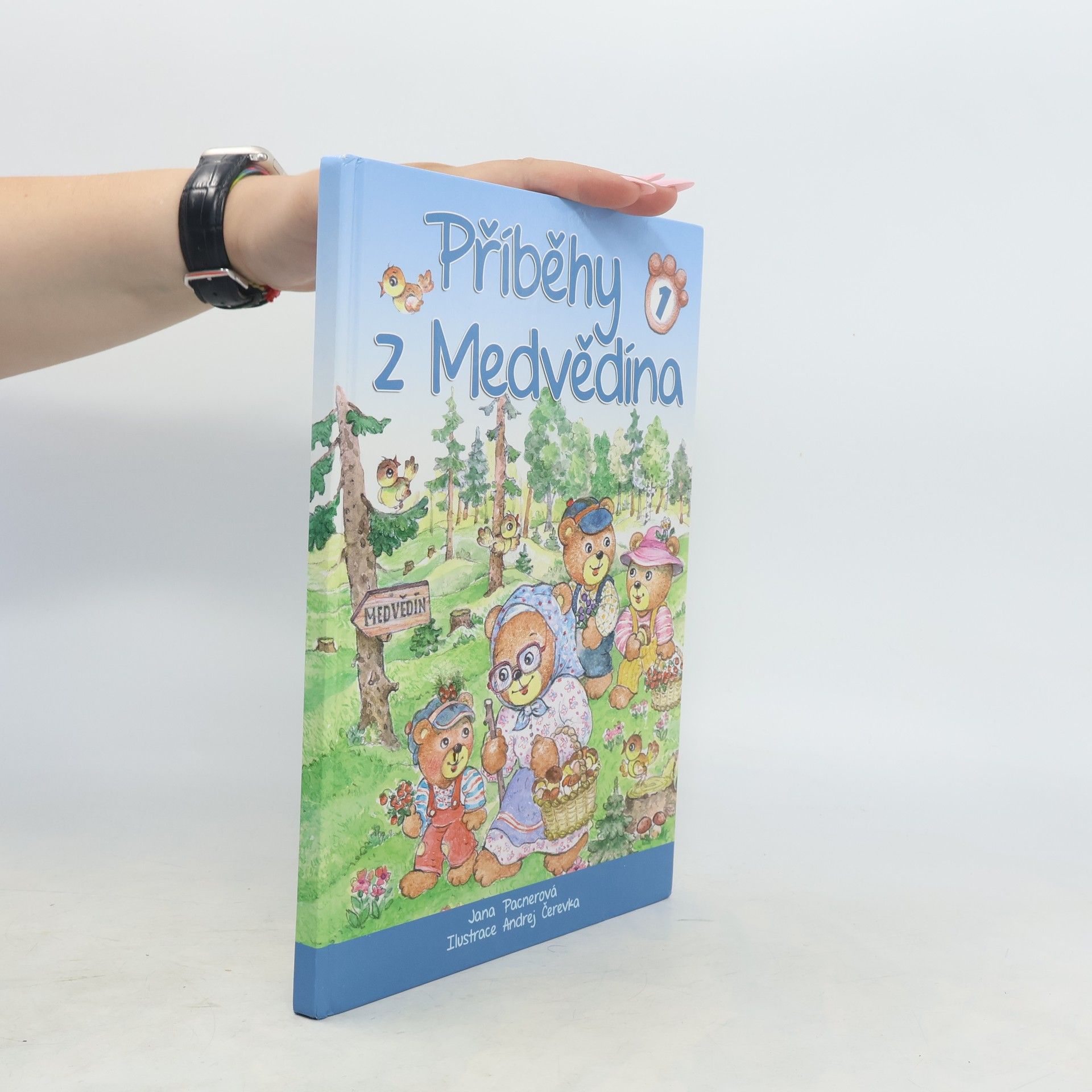 Jana Pacnerová Příběhy z Medvědína. 1