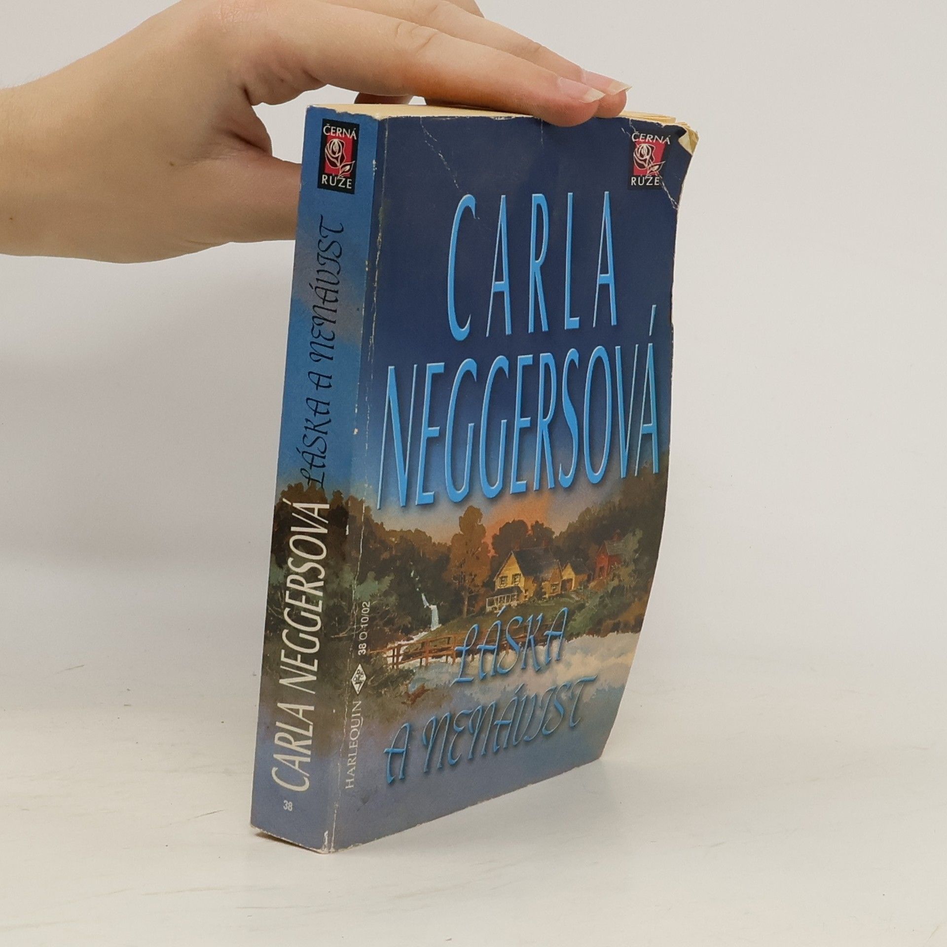 Carla Neggers Láska a nenávist