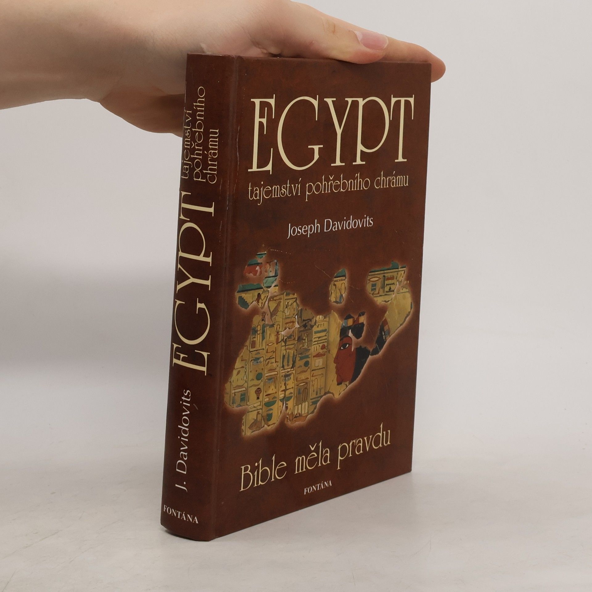 Joseph Davidovits Egypt: Tajemství pohřebního chrámu: Bible měla pravdu