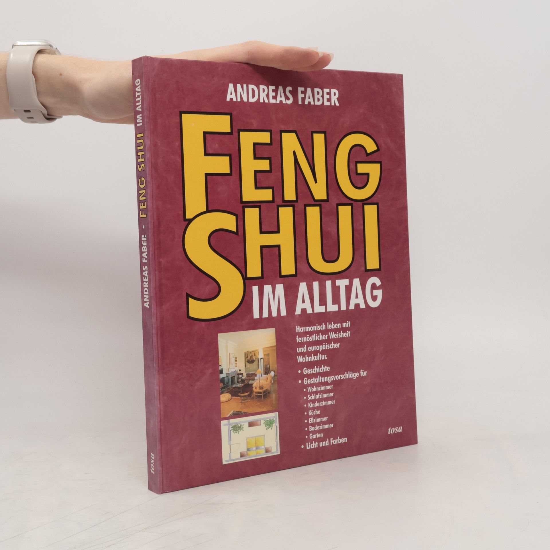 Andreas Faber-Kaiser Feng Shui im Alltag