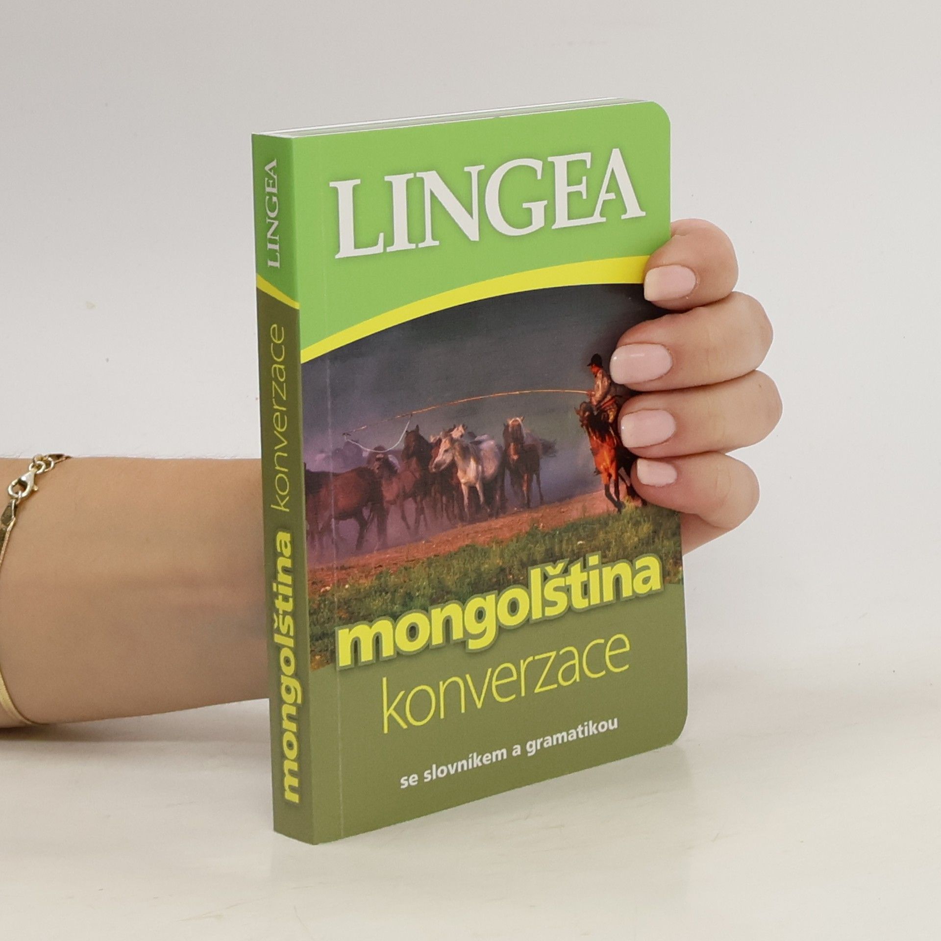 kolektiv Česko-mongolská konverzace