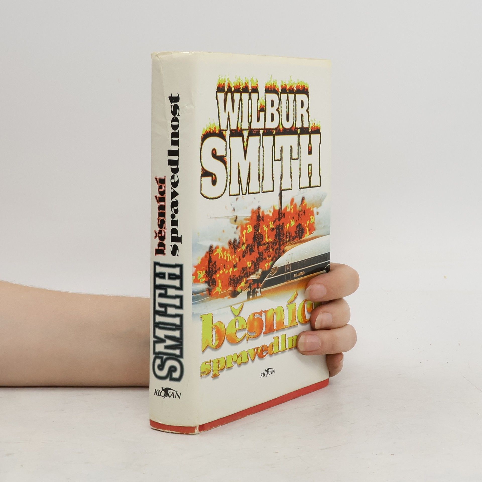 Wilbur A. Smith Běsnící spravedlnost