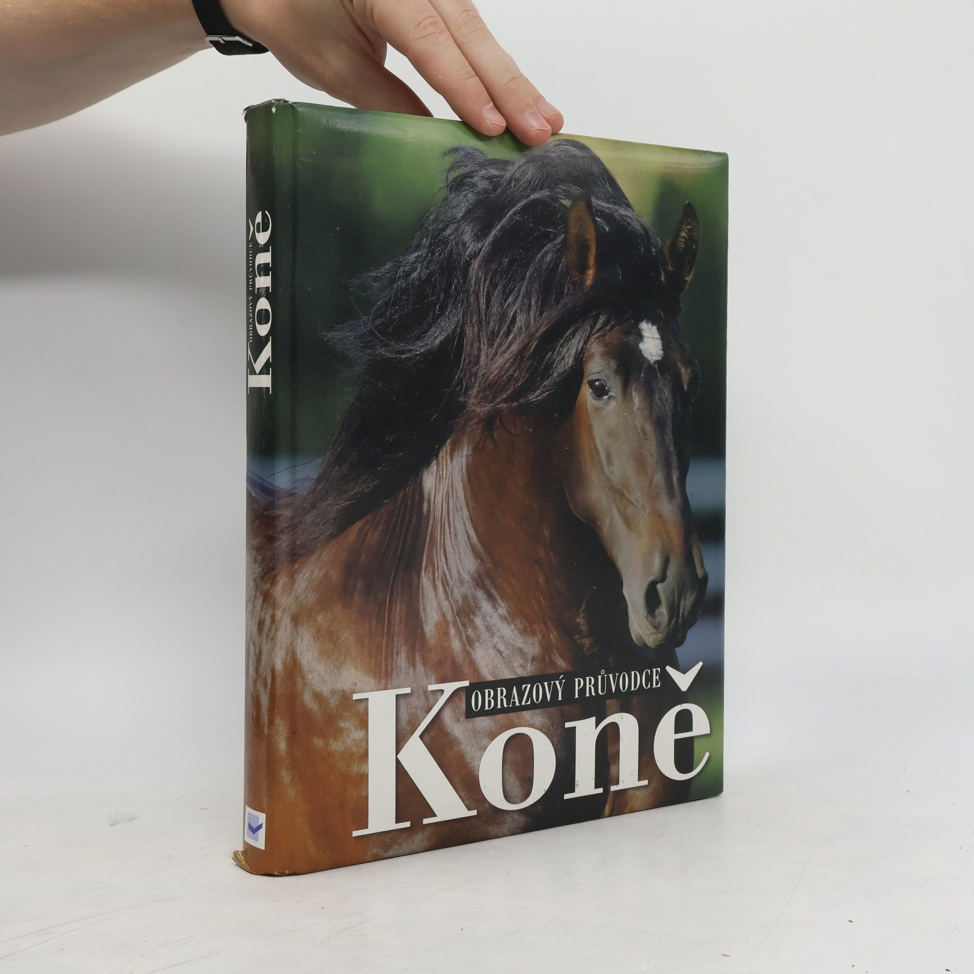 kolektiv Koně. Obrazový průvodce