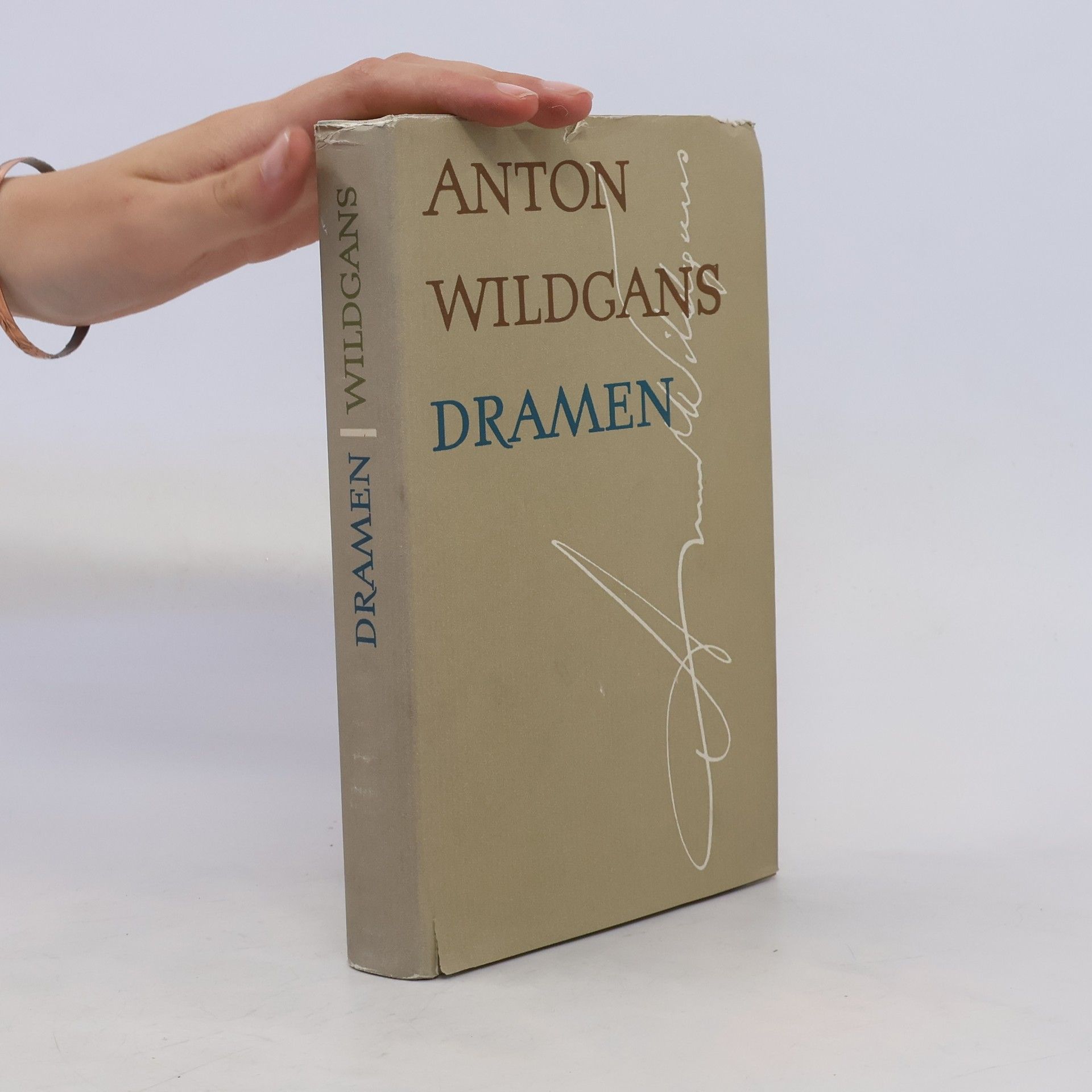 Anton Wildgans Dramen