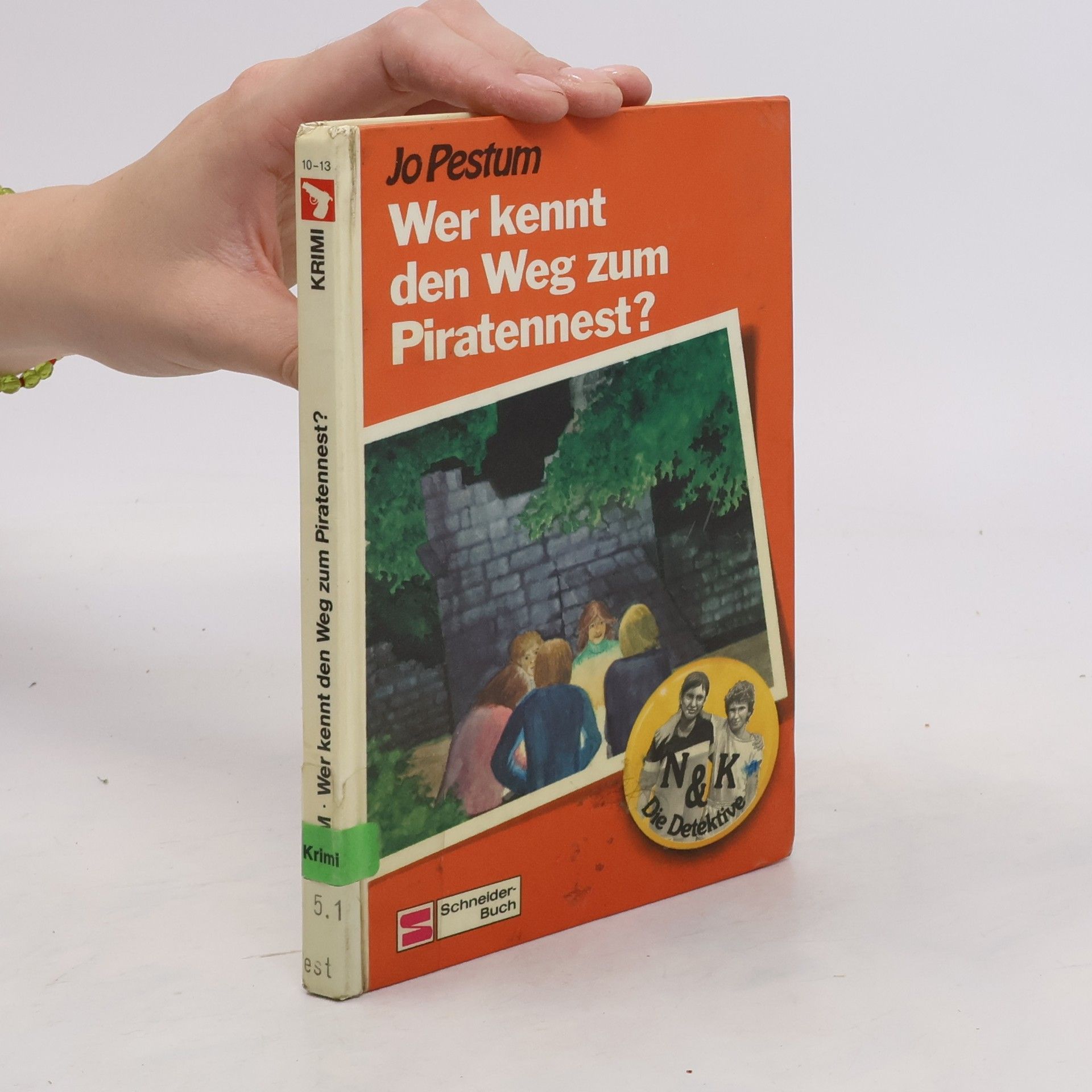 Jo Pestum Wer kennt den Weg zum Piratennest?