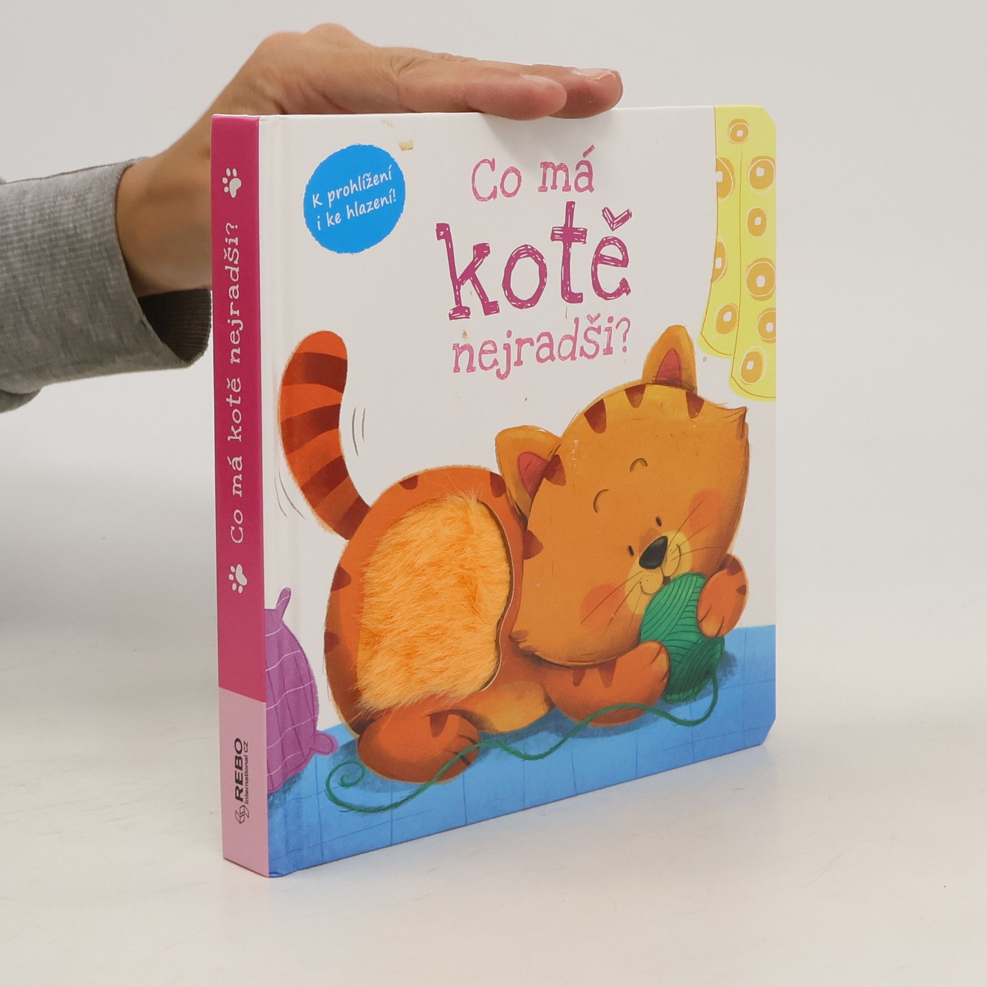 kolektiv Co má kotě nejradši?