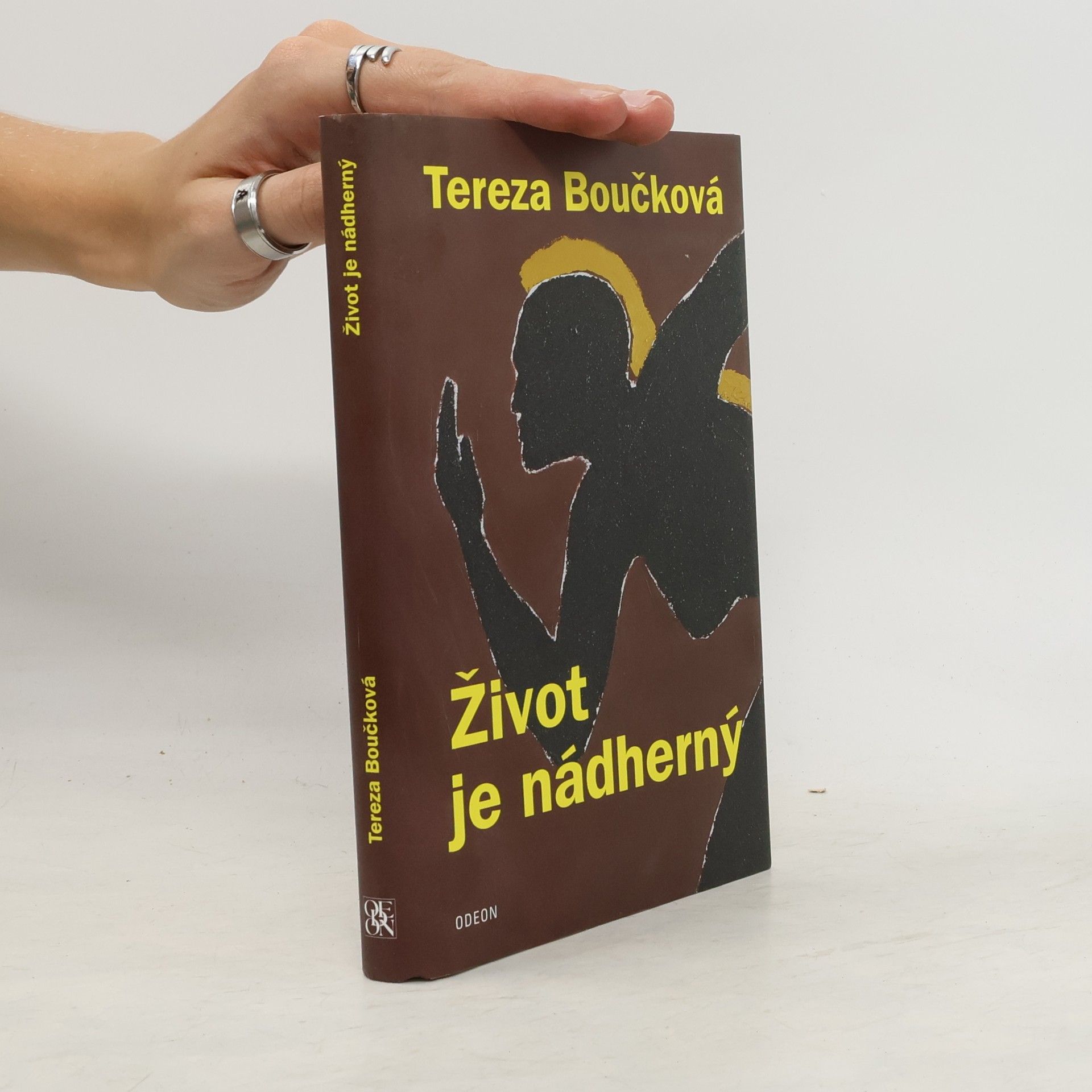 Tereza Boučková Život je nádherný