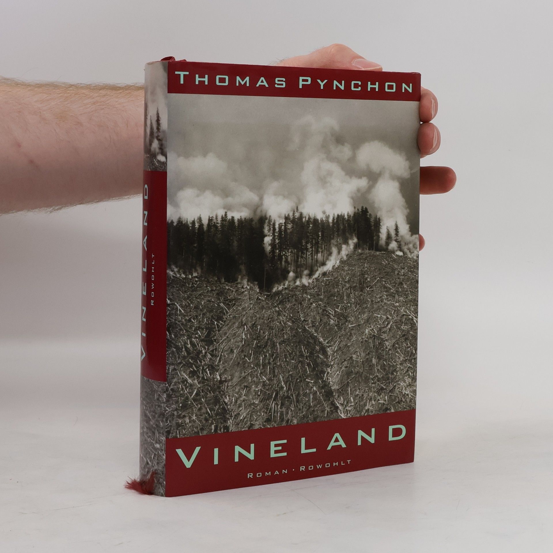 Thomas Pynchon Vineland