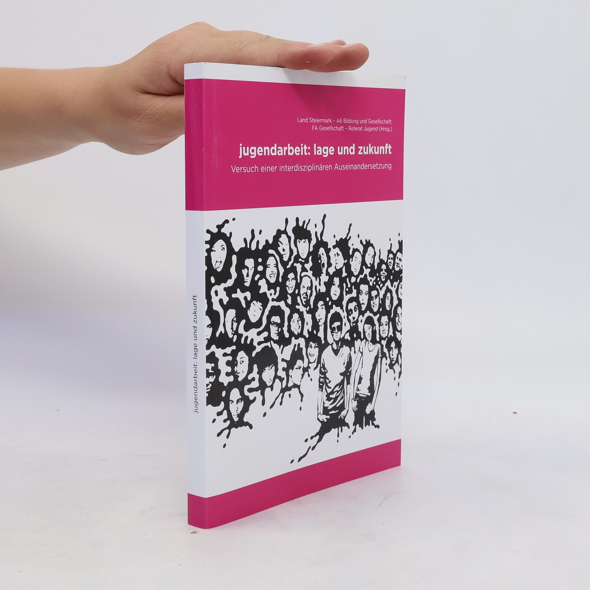 Kolektív autorov Jugendarbeit: Lage und Zukunft