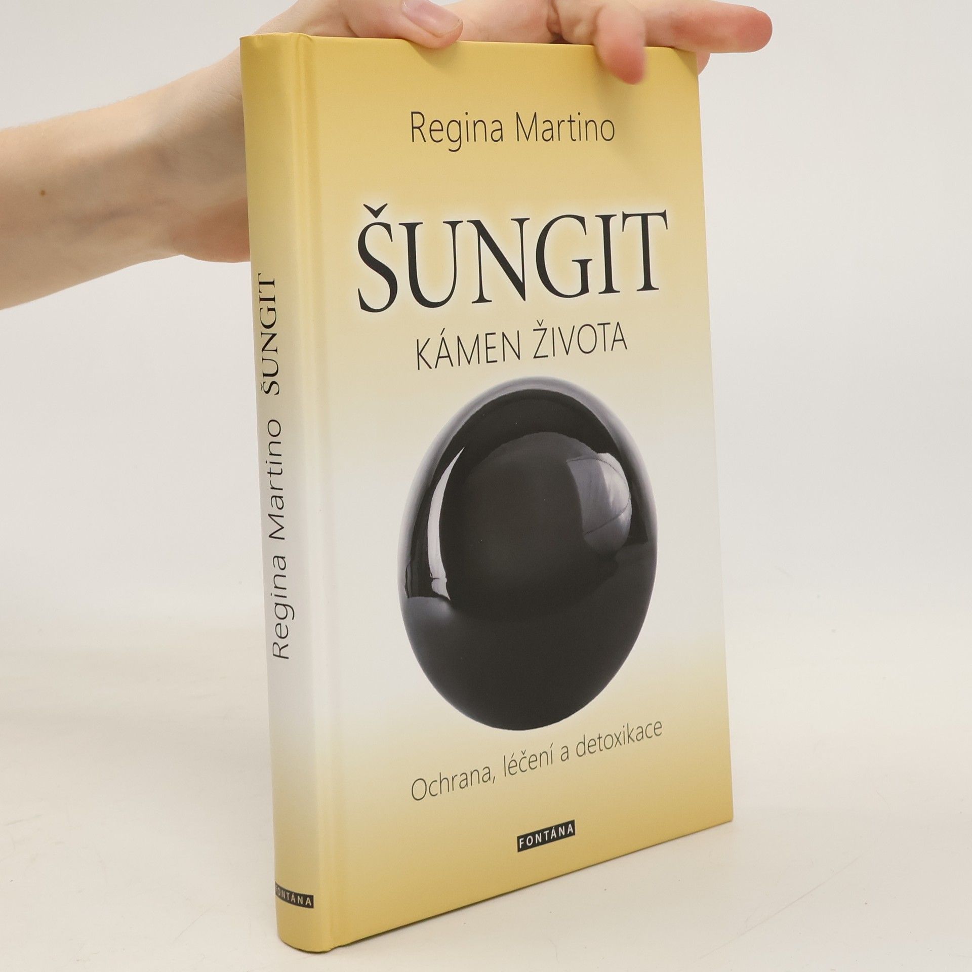 Regina Martino Šungit : kámen života : ochrana, léčení a detoxikace