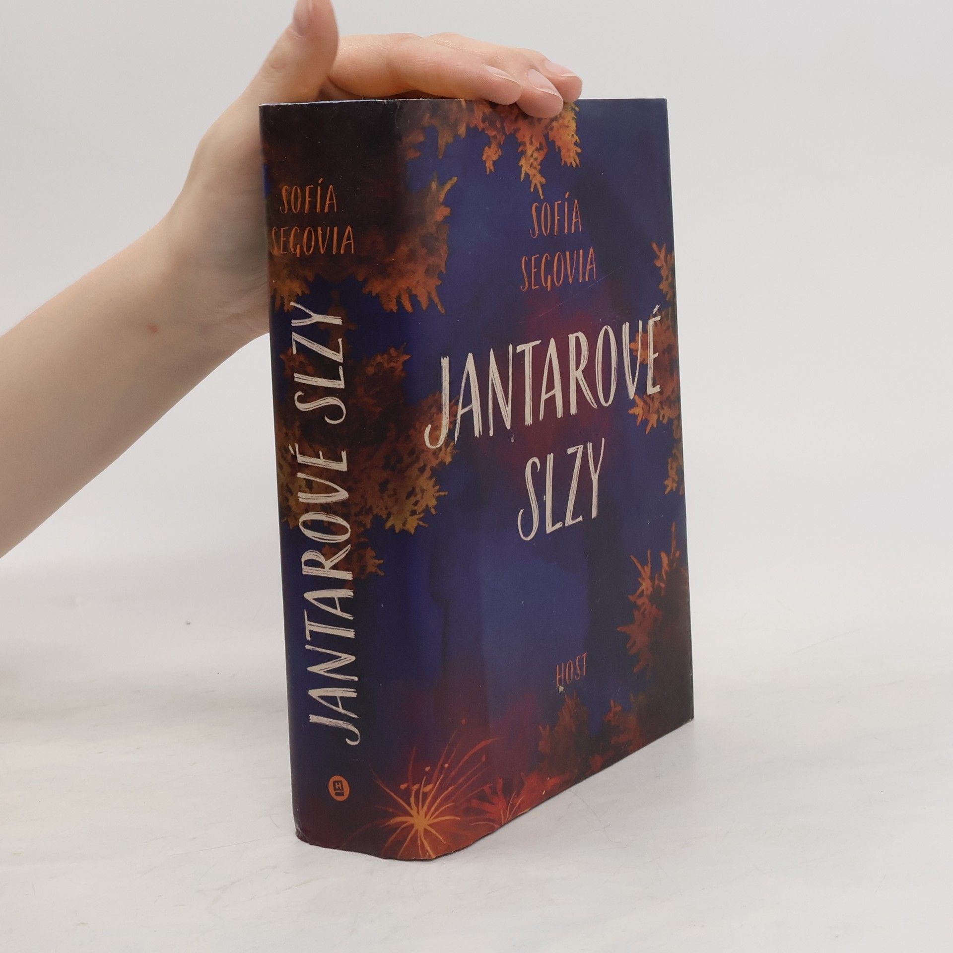 Romana Bičíková Jantarové slzy