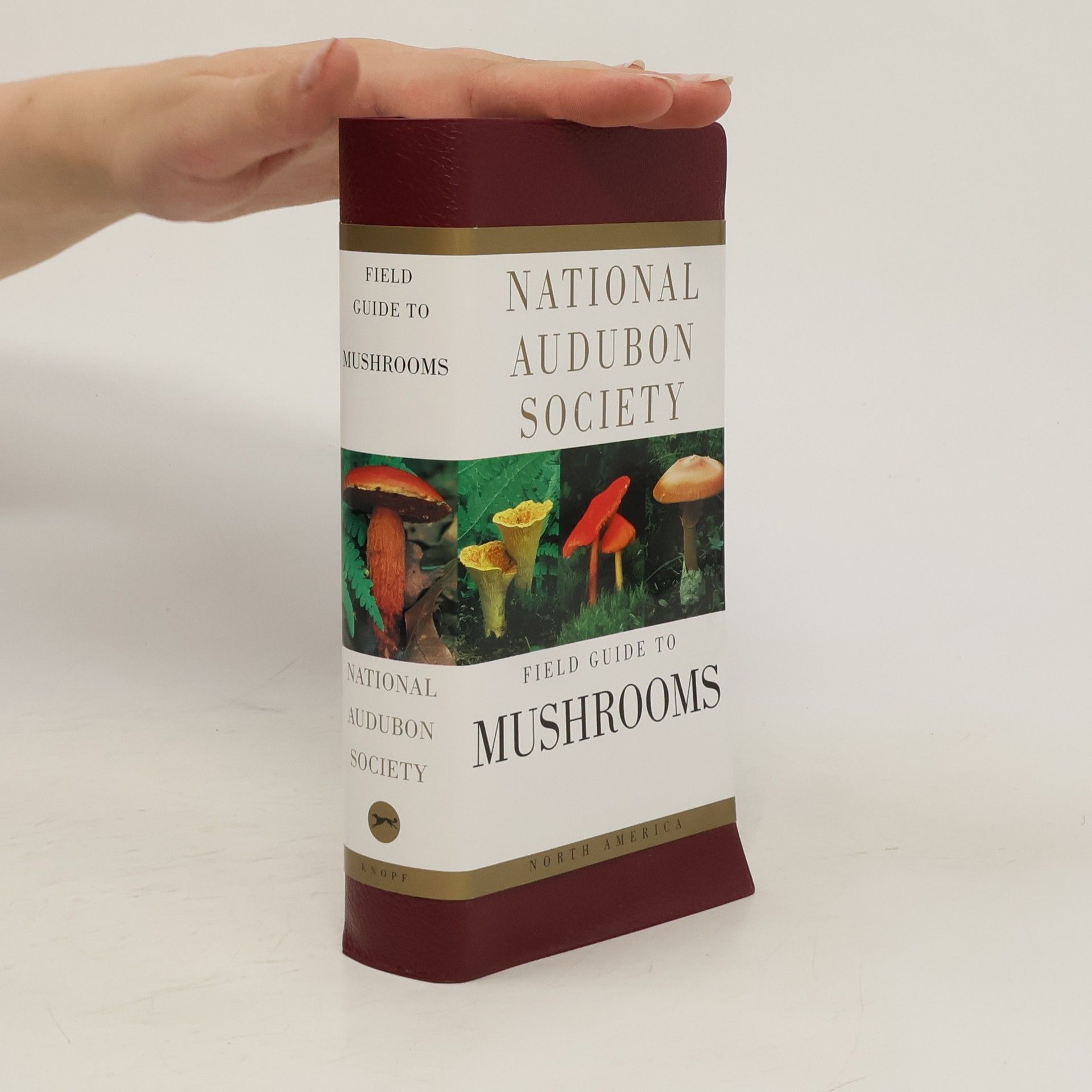 Gary H Lincoff The Audubon Society field guide to North America mushrooms