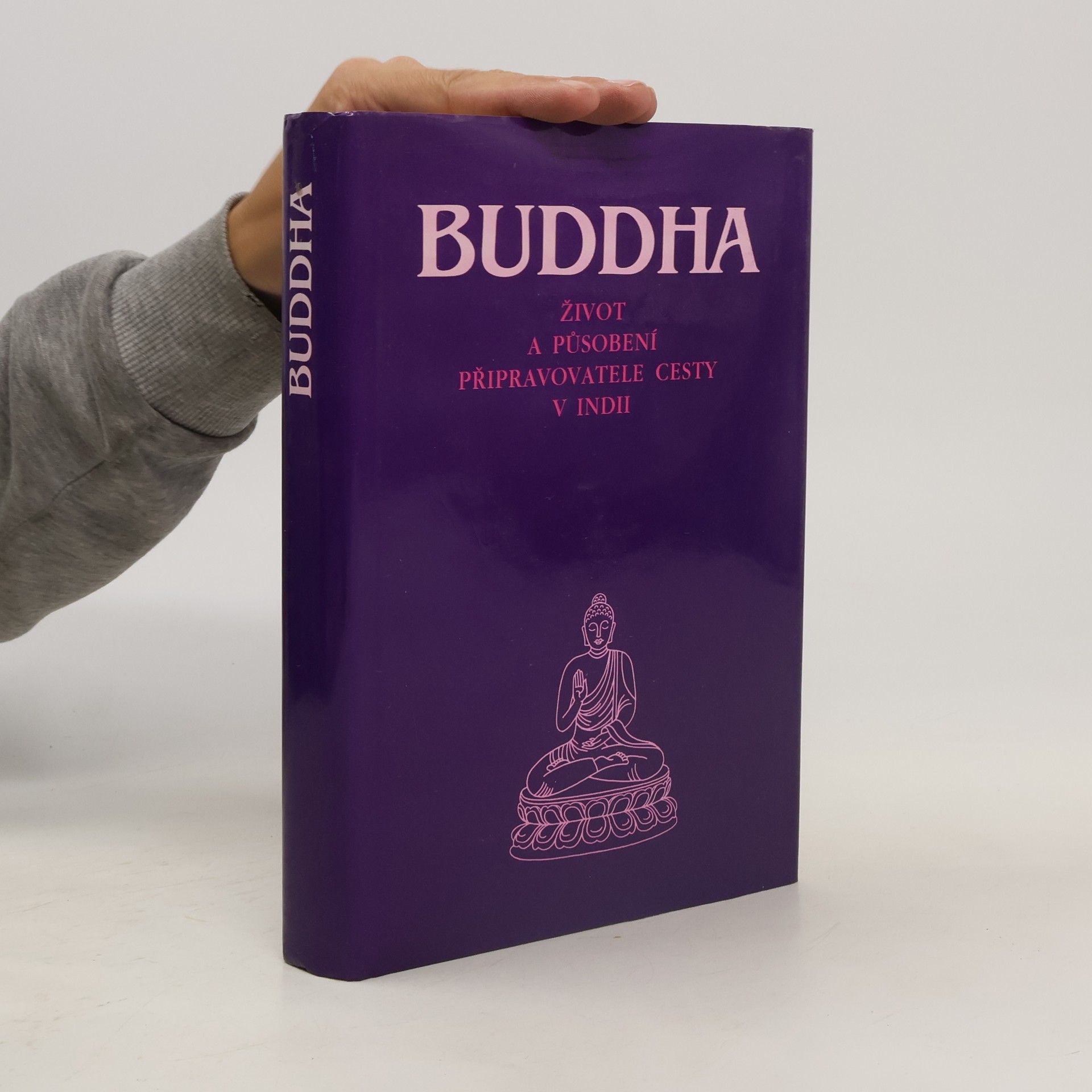 Collective Buddha : život a působení připravovatele cesty v Indii