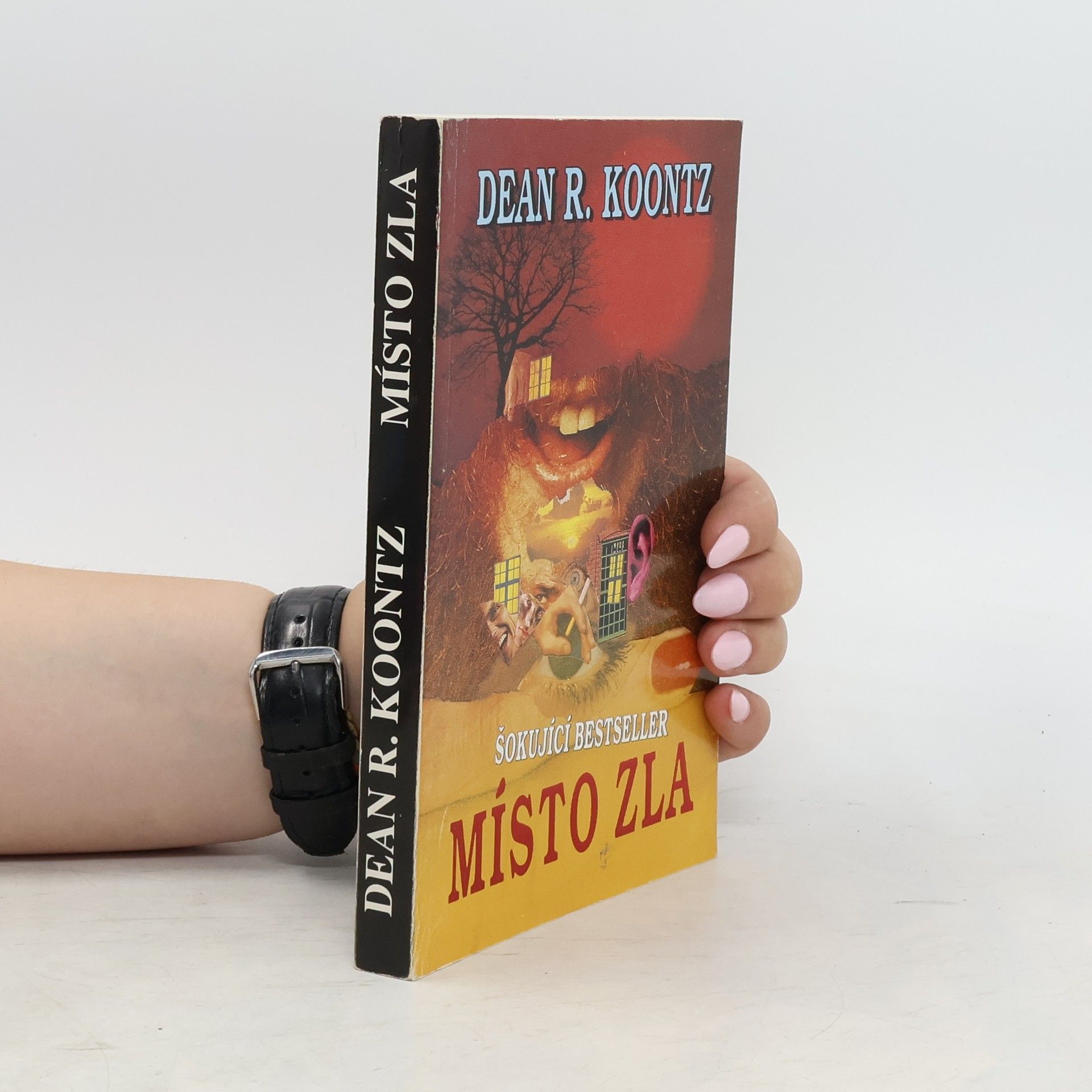 Dean R. Koontz Místo zla