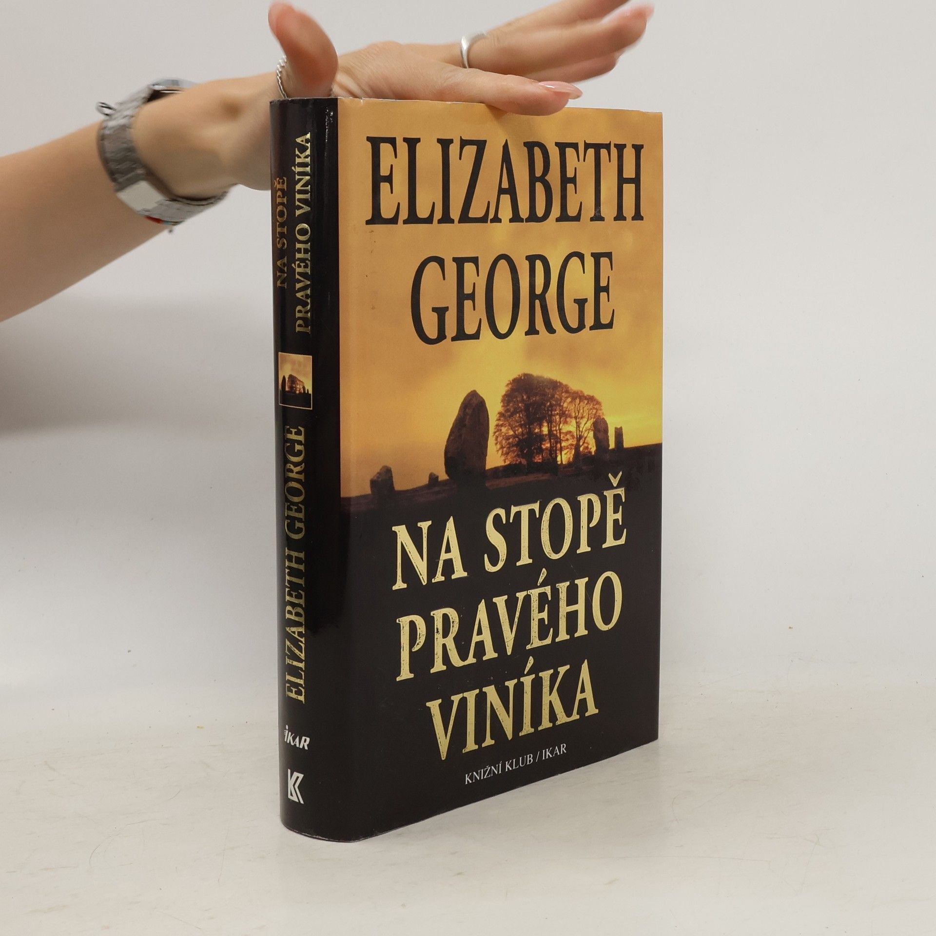 Elizabeth George Na stopě pravého viníka