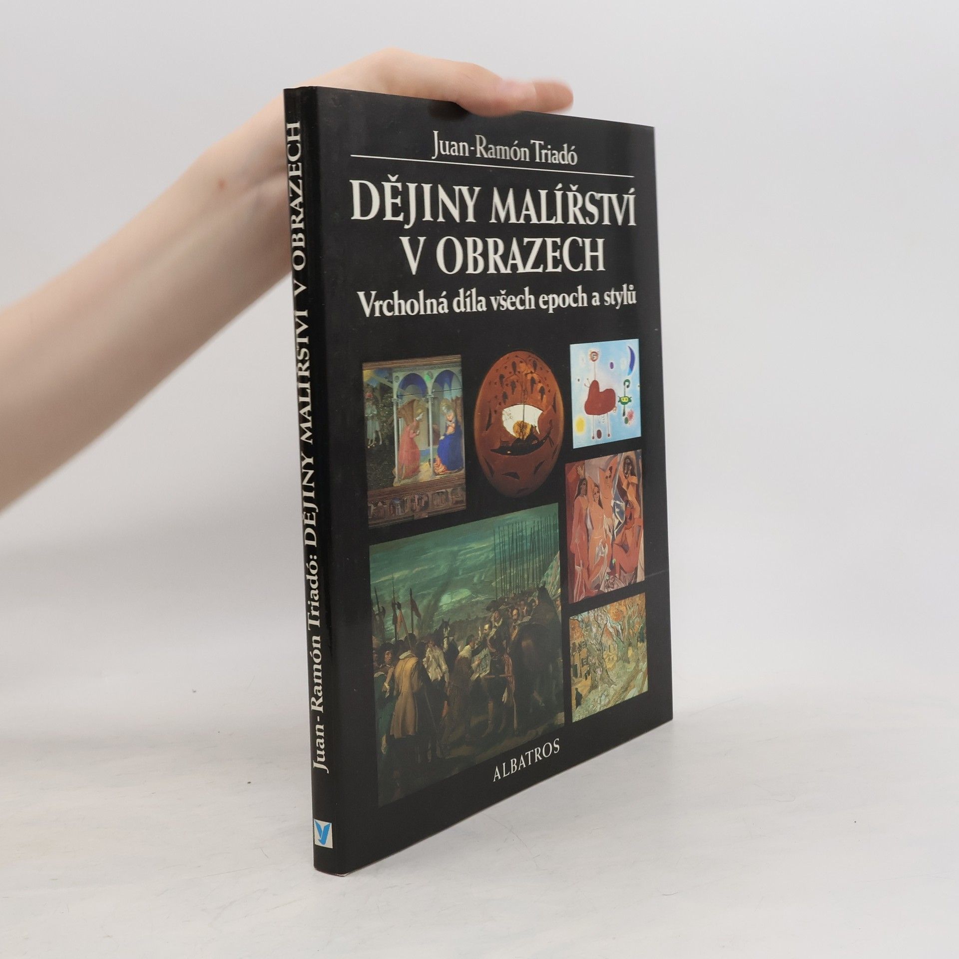 Václav Konečný Dějiny malířství v obrazech : vrcholná díla všech epoch a stylů