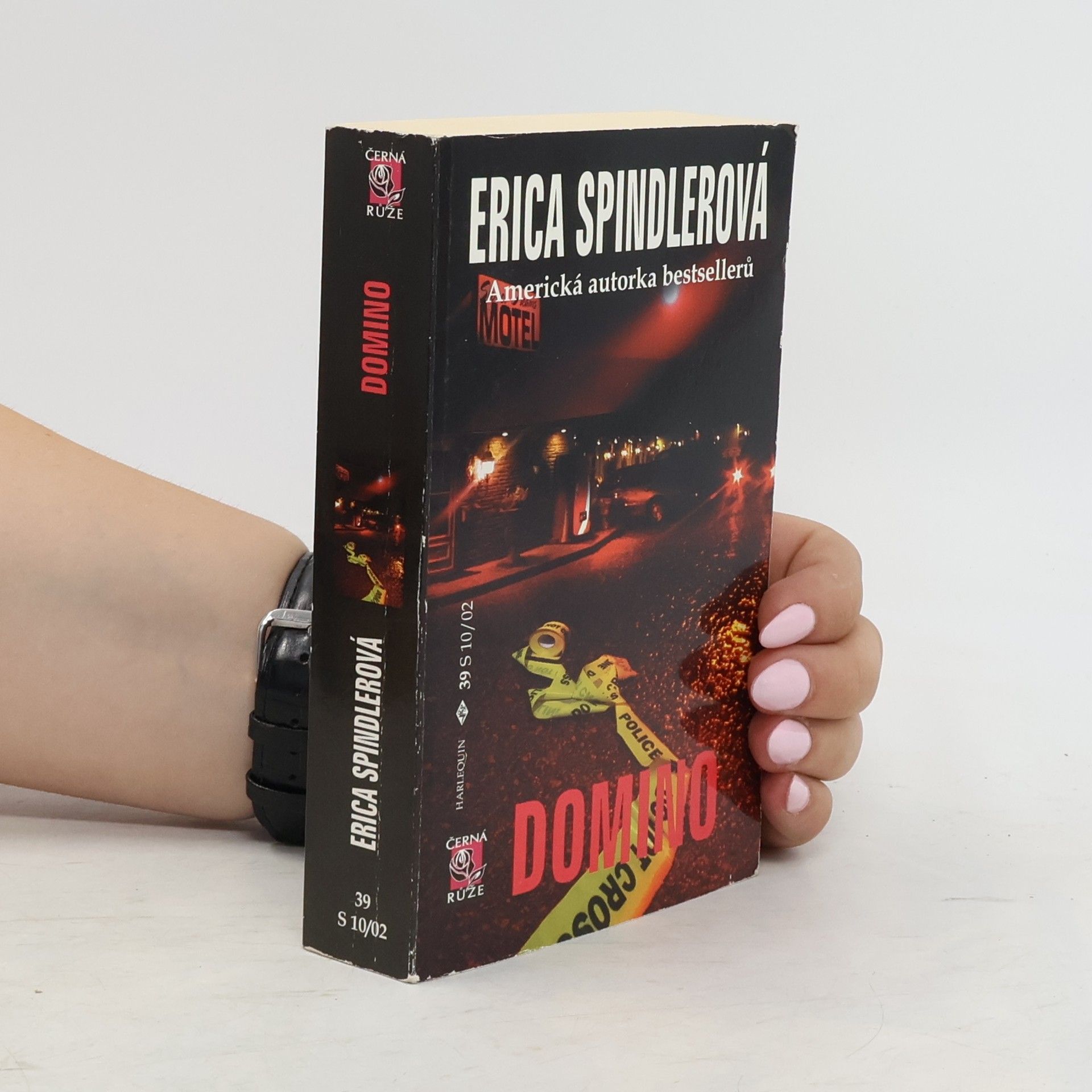 Erica Spindler Domino