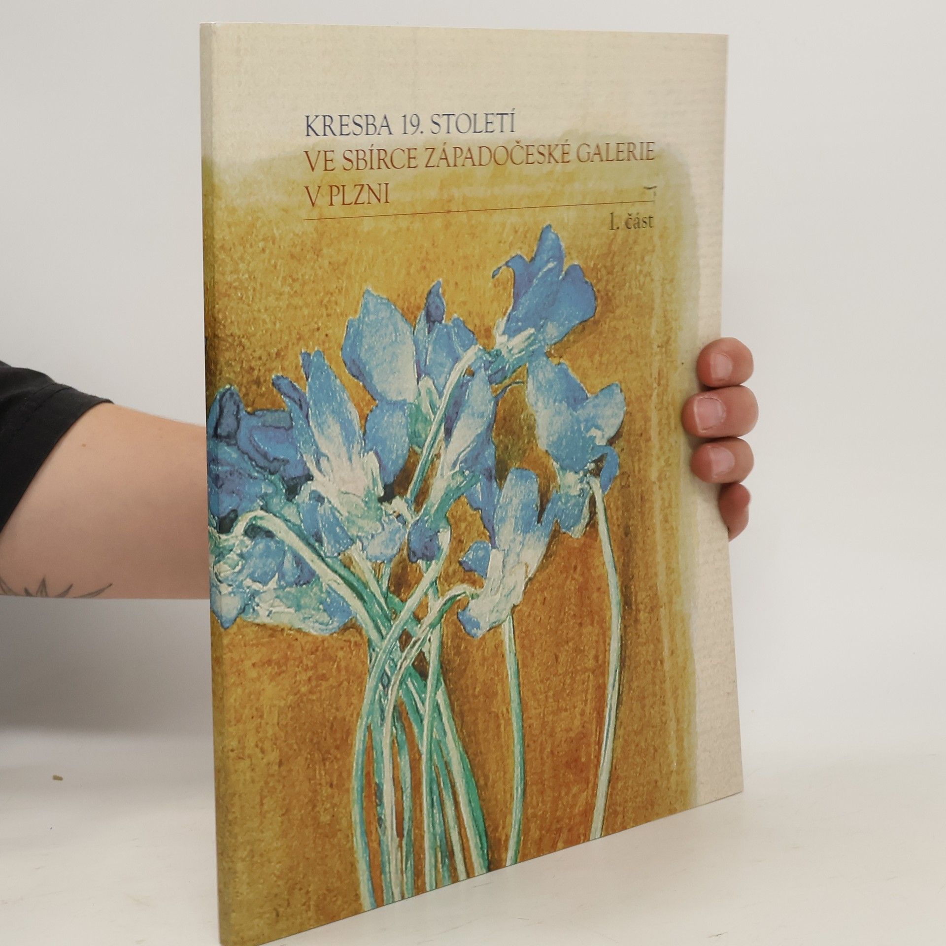 kolektiv Kresba 19. století. Ve sbírce západočeské galerie v Plzní. 1. část