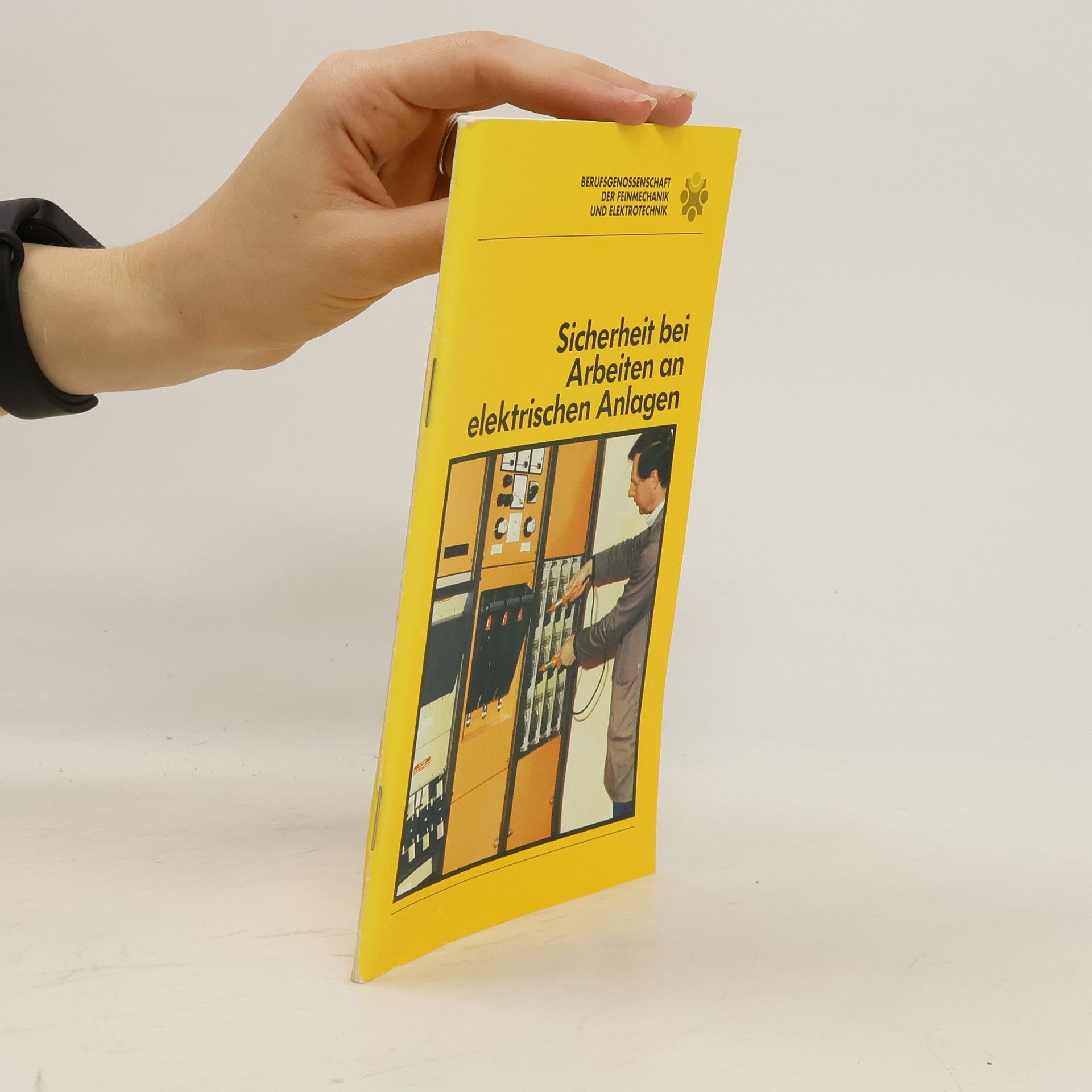 Collective Sicherheit bei Arbeiten an elektrischen Anlagen